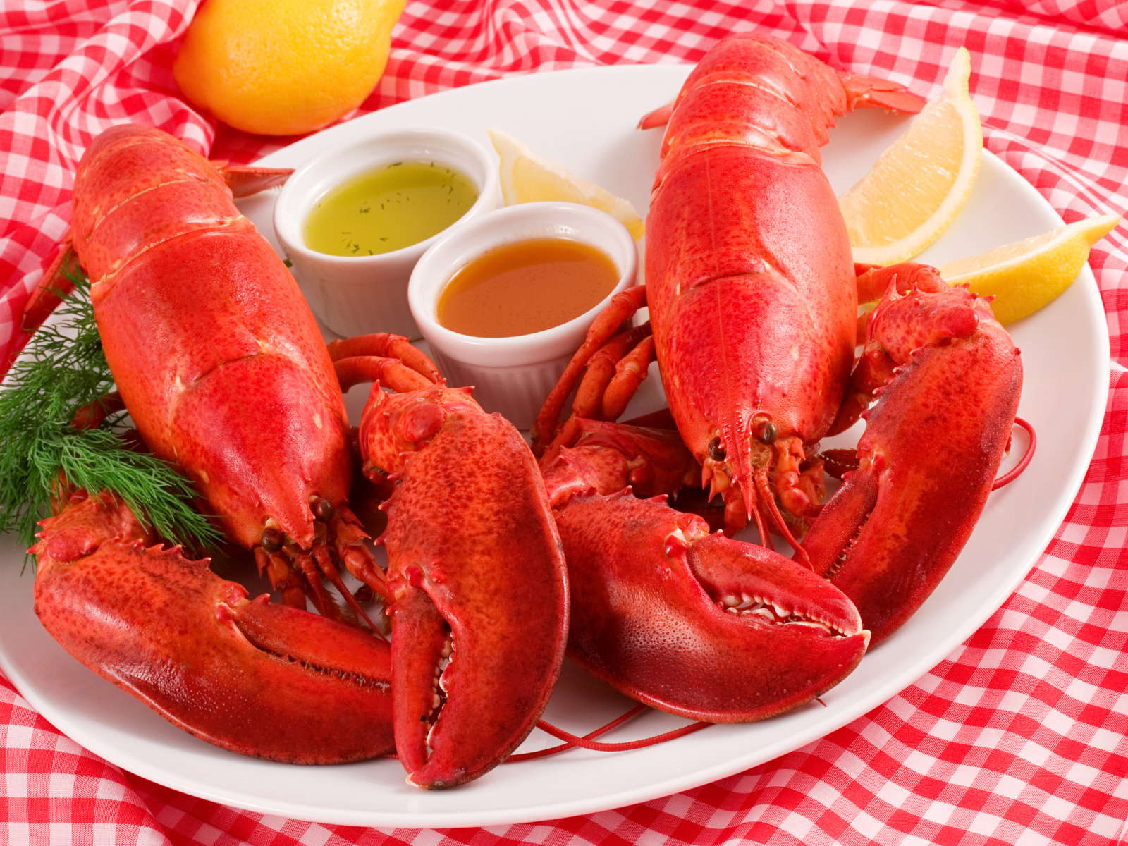 Два вареных омара на тарелке с соусом