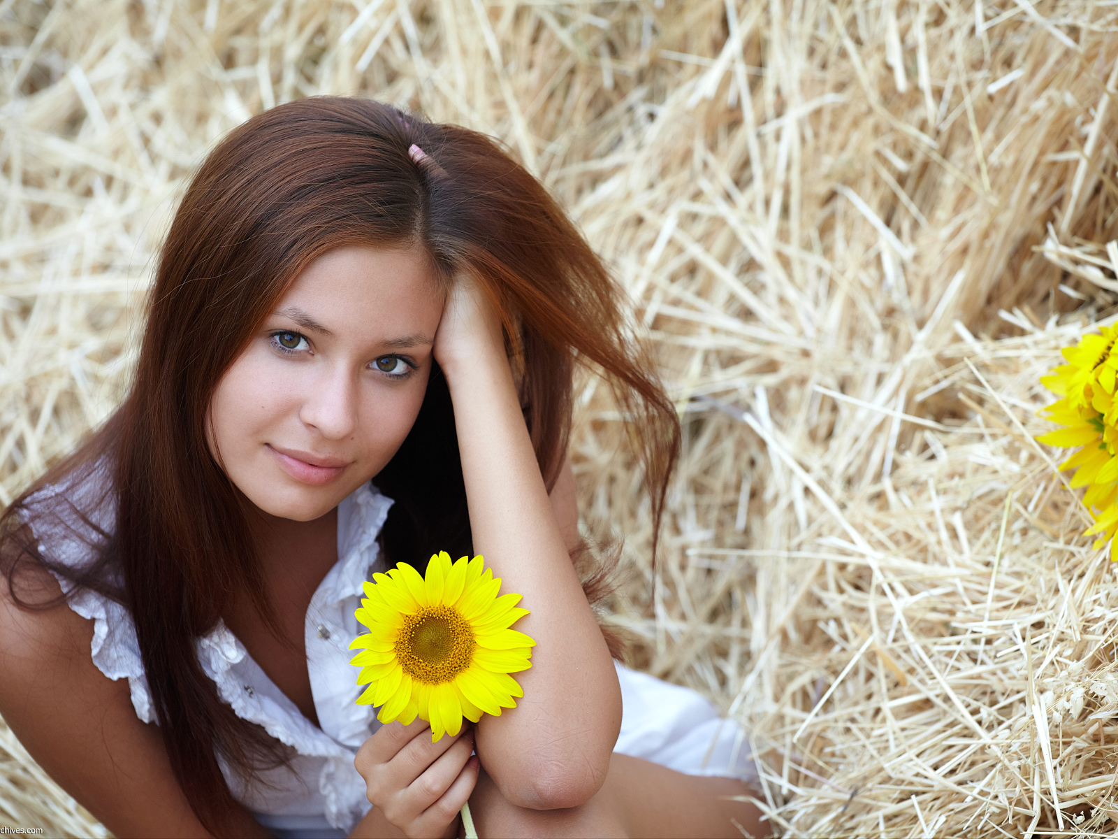 Милая девушка шатенка с цветком подсолнуха в руке