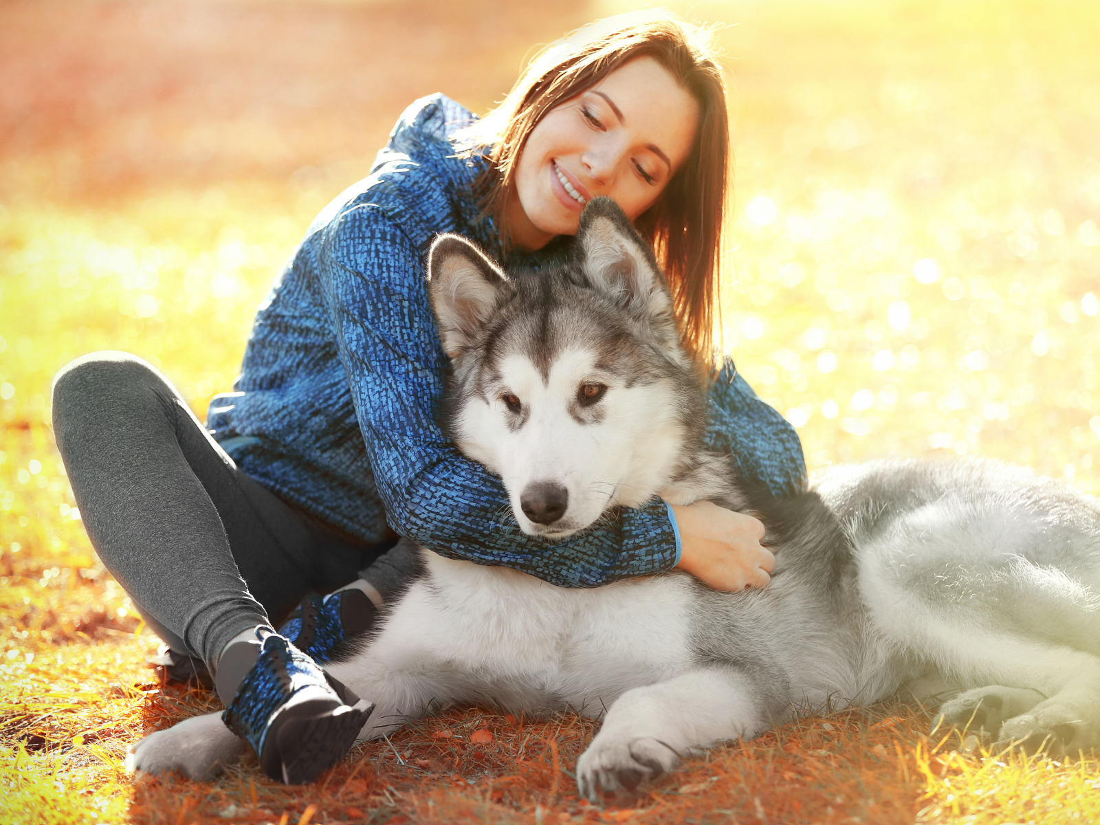 Красивая девушка брюнетка сидит на земле с собакой породы хаски