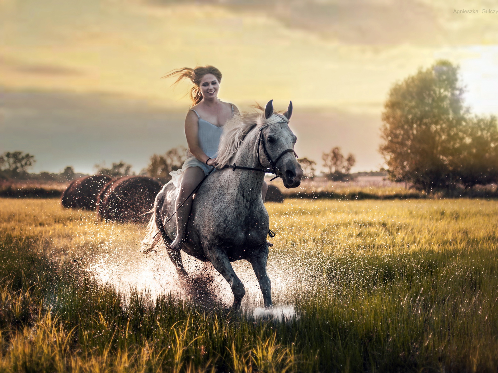 Красивая молодая девушка скачет на лошади по мокрой траве