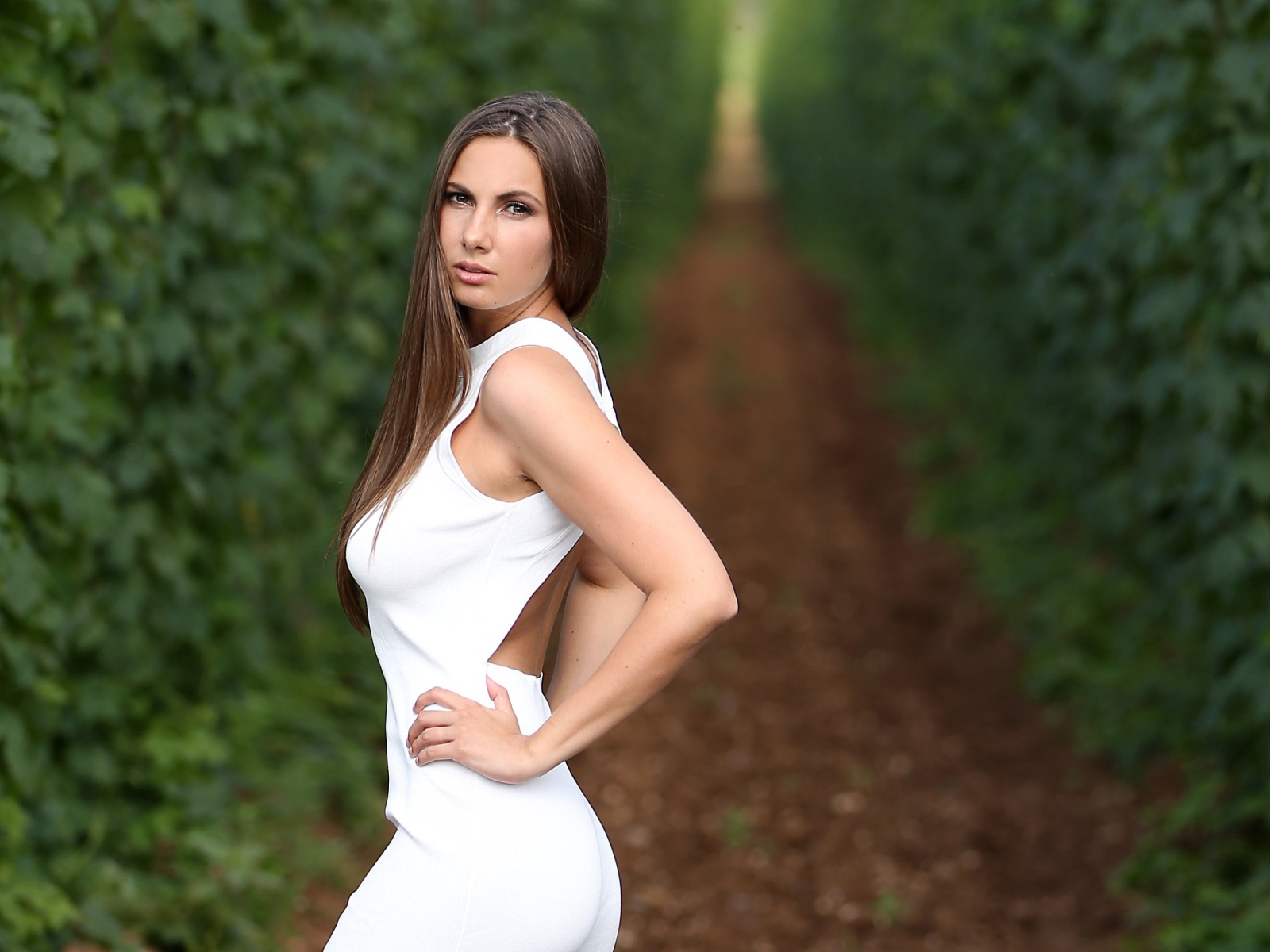 Красивая молодая девушка с длинными волосами в белом платье