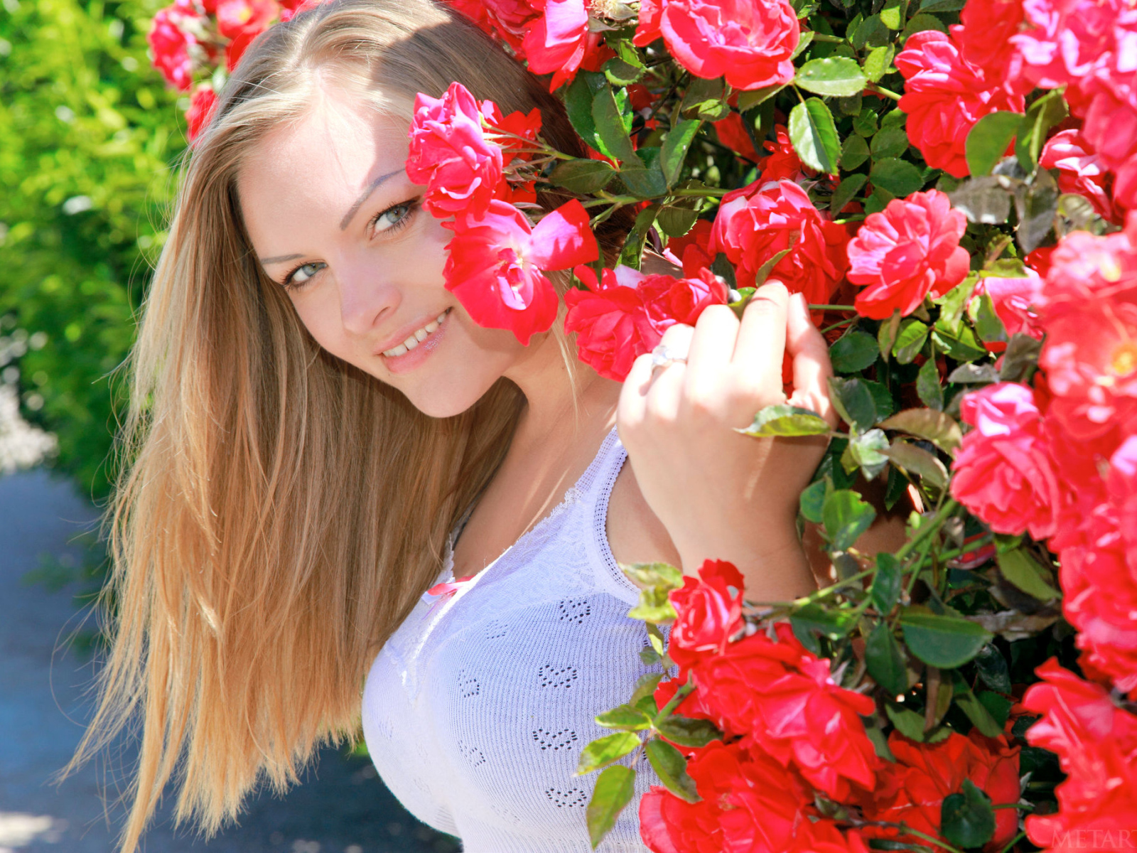 Улыбающаяся девушка блондинка рядом с кустом красных роз