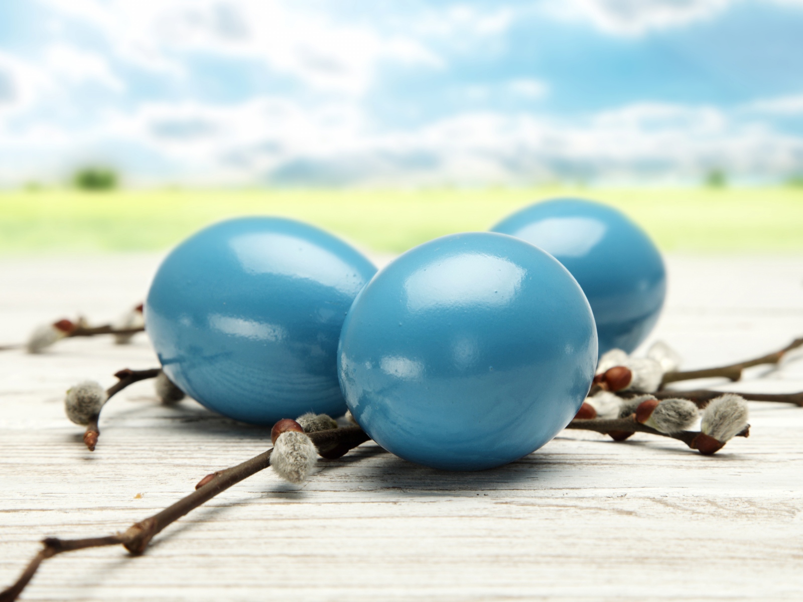 Синие пасхальные яйца и ветки вербы 