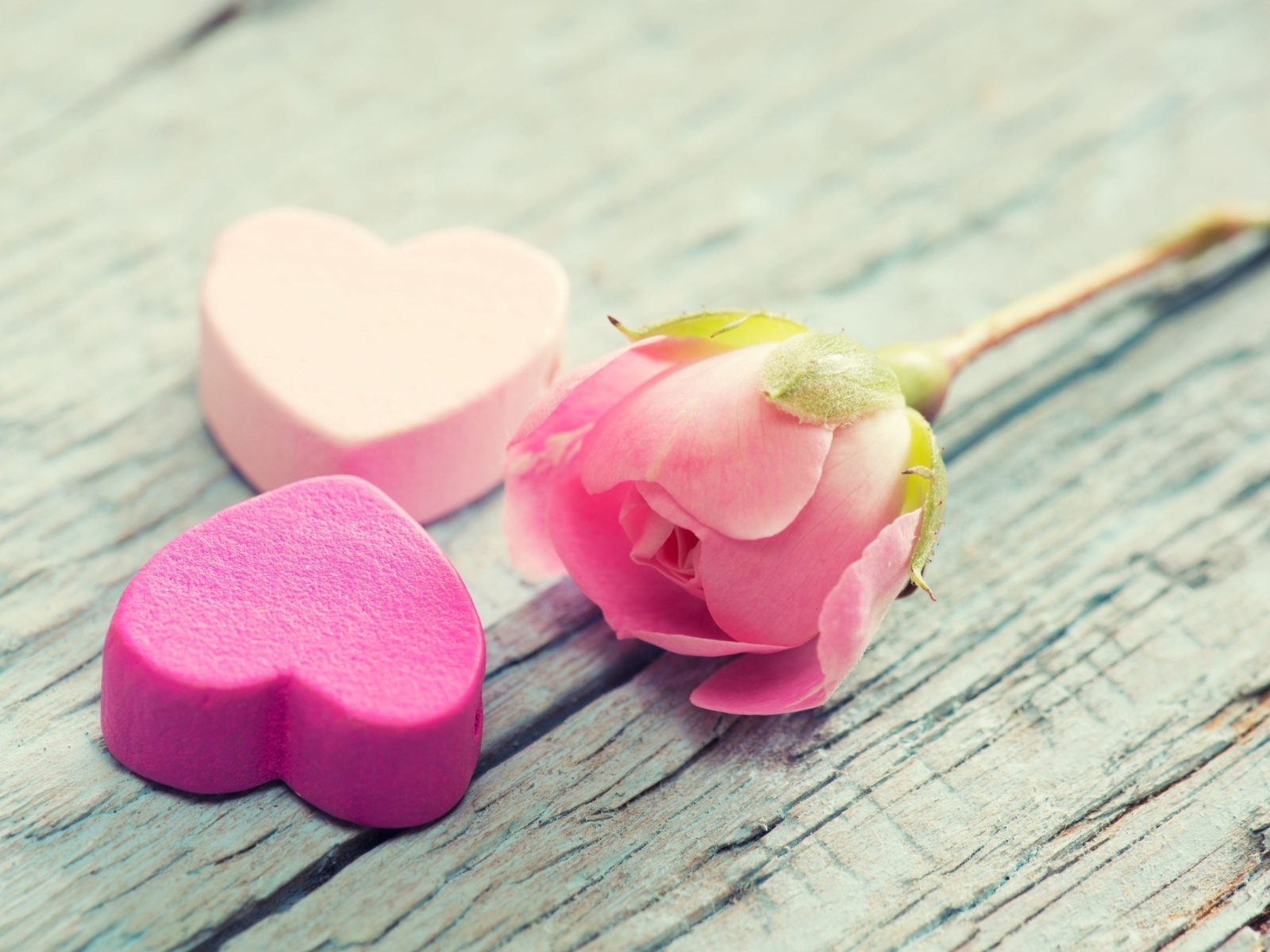 Два розовых сердца и розовая роза лежат на деревянной поверхности