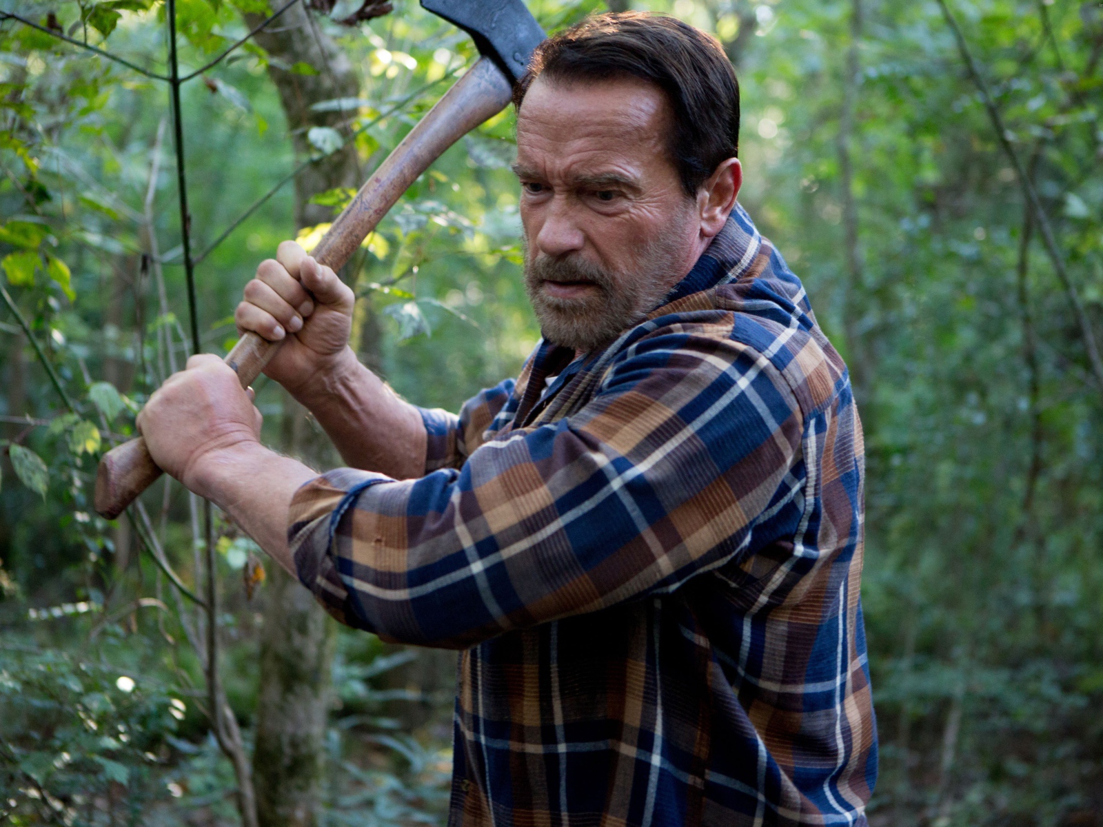 Актер Арнольд Шварценеггер в фильме Последствия, 2017 