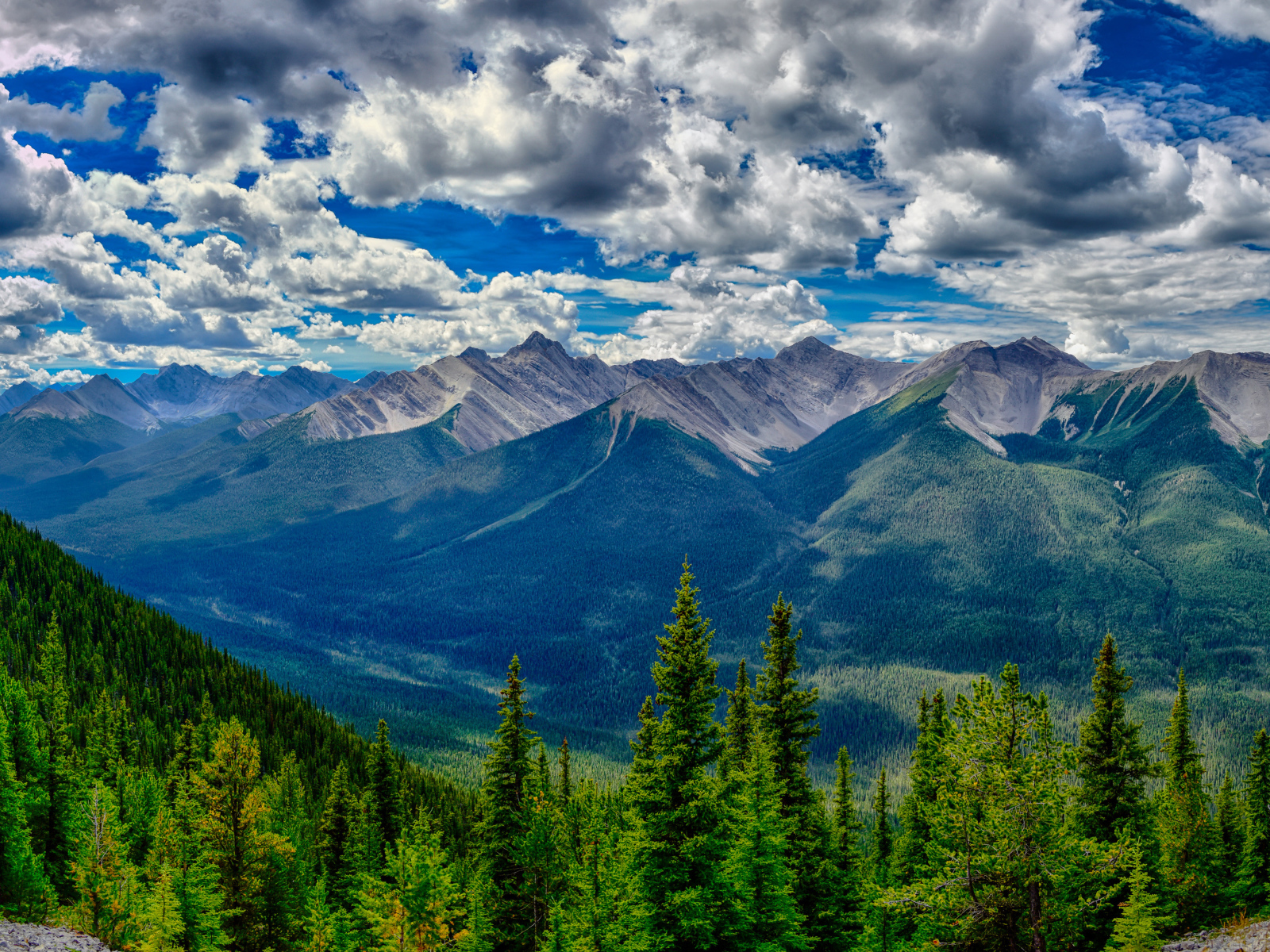 Красивое небо с белыми облаками над покрытыми лесом горами