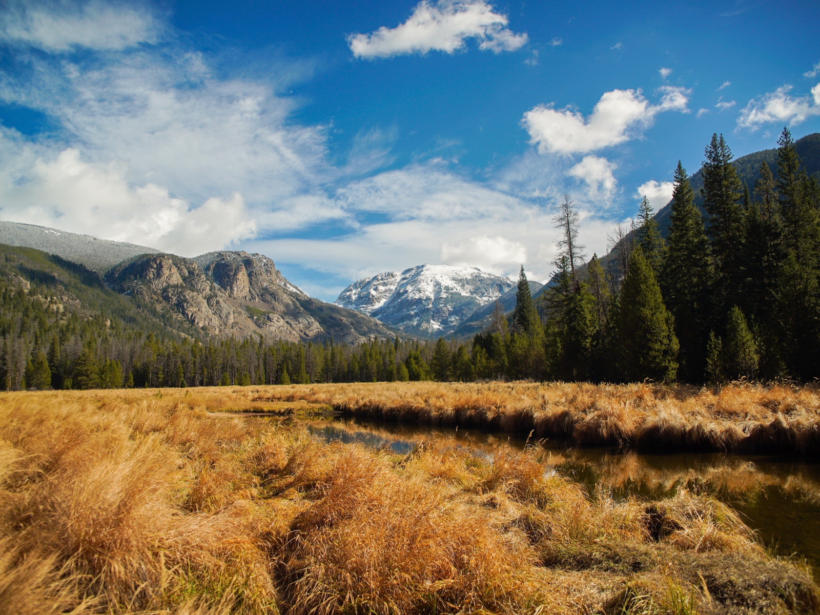 Сухая трава рядом с рекой на фоне гор 