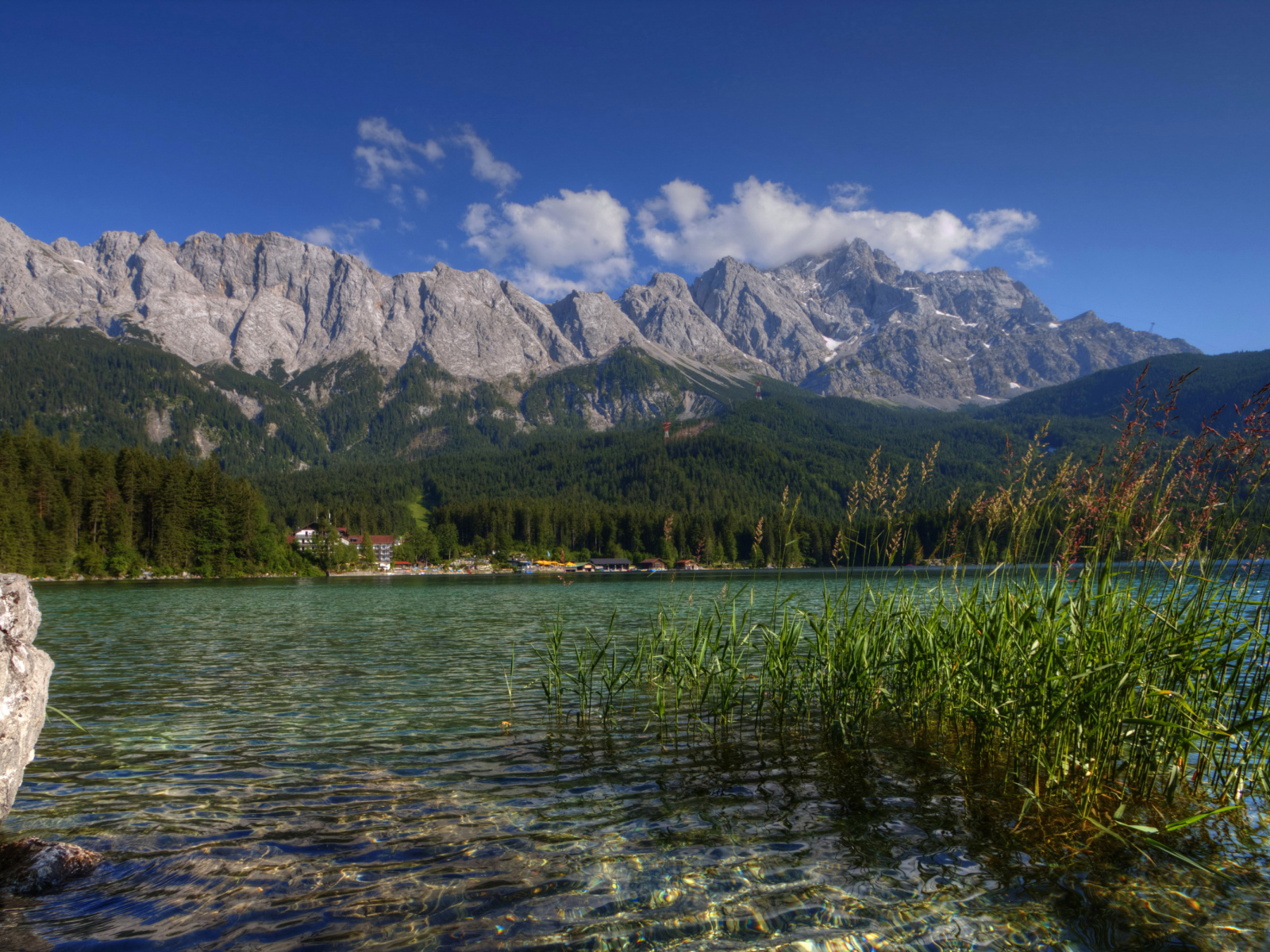 Зеленый лес у горного озера, Германия