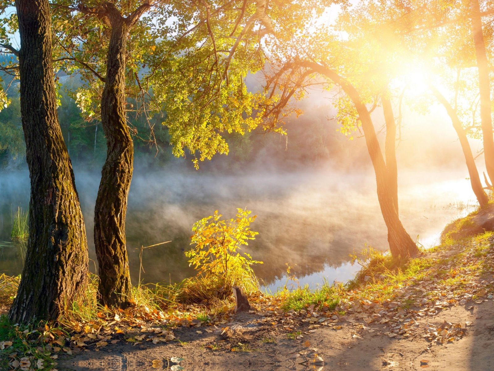 Утренний туман над рекой в лучах солнца осенью