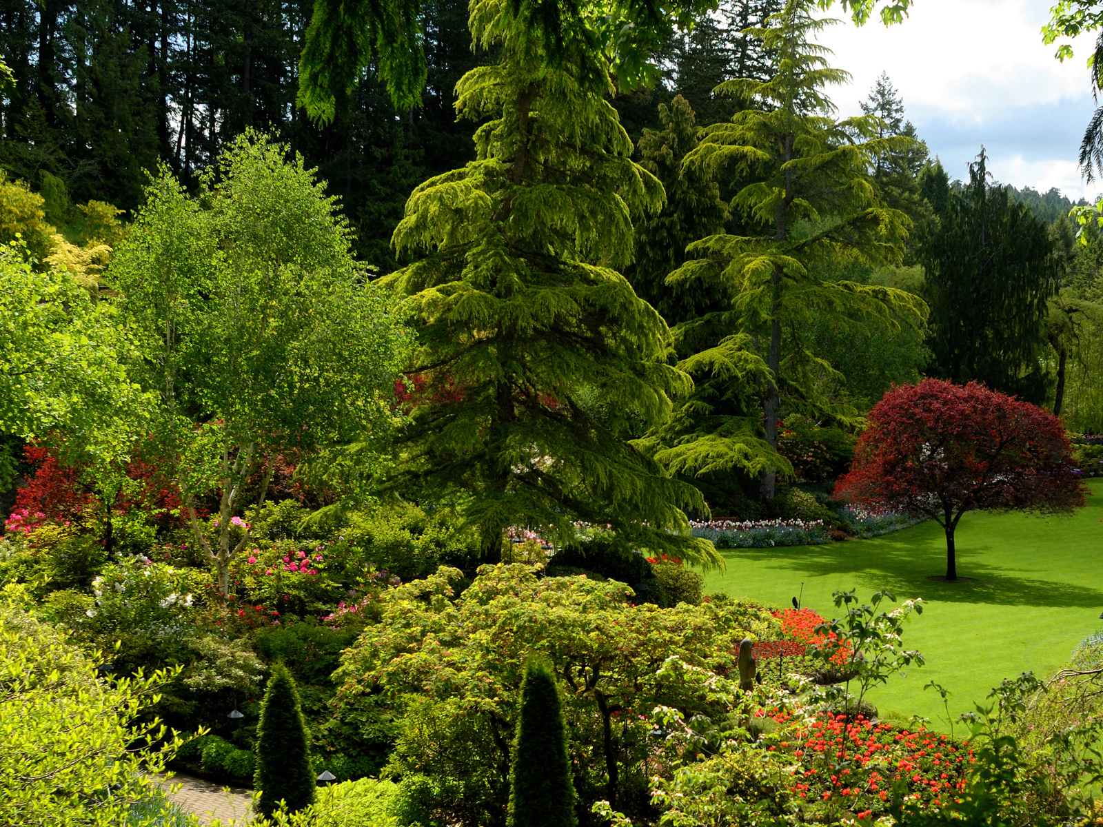 Живописный зеленый парк Канады