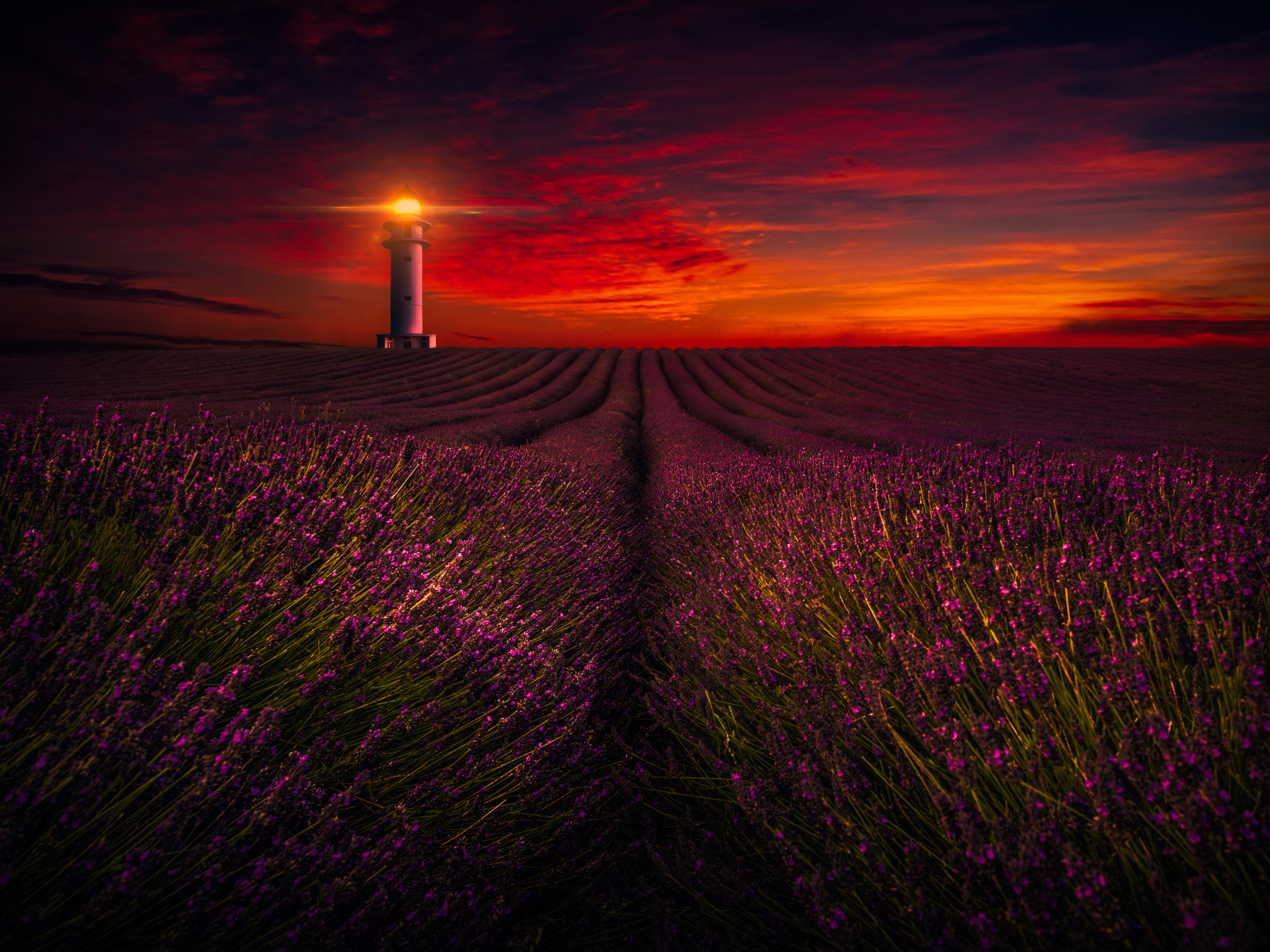 Маяк освещает лавандовое поле под красивым небом