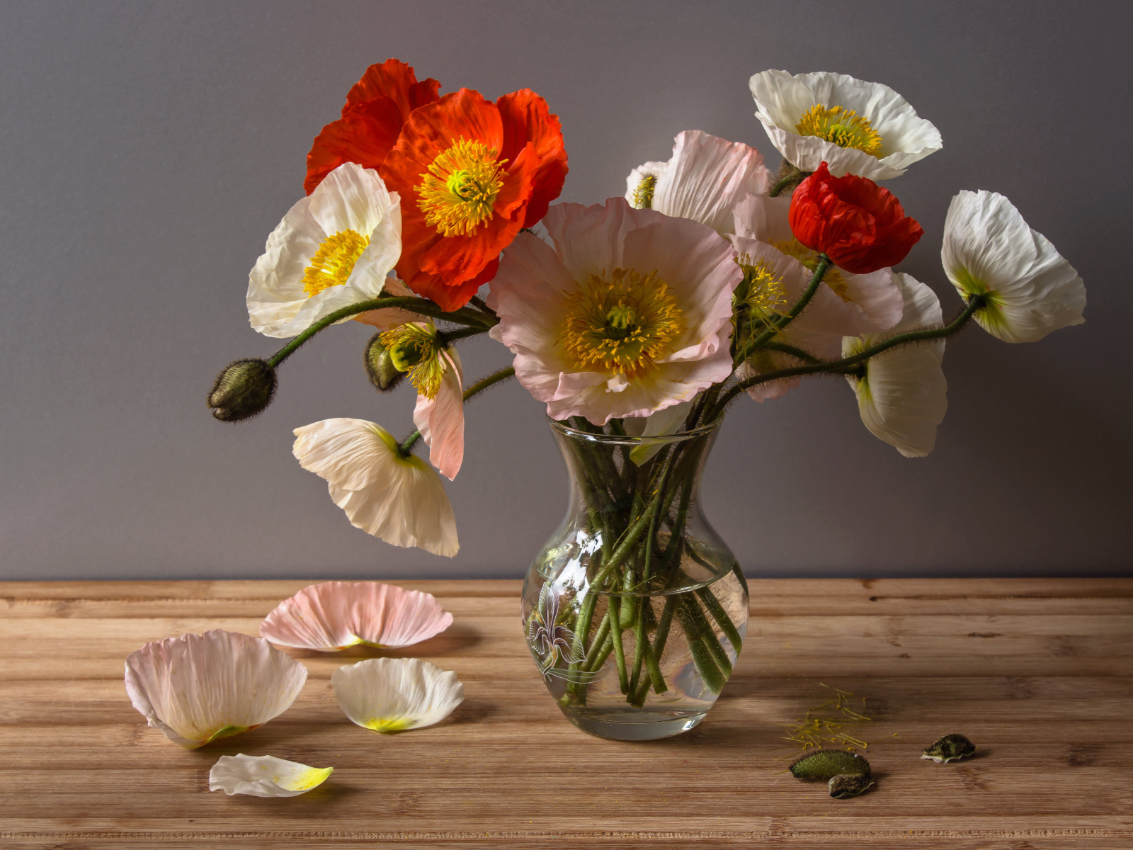 Букет крупных красивых маков в прозрачной вазе