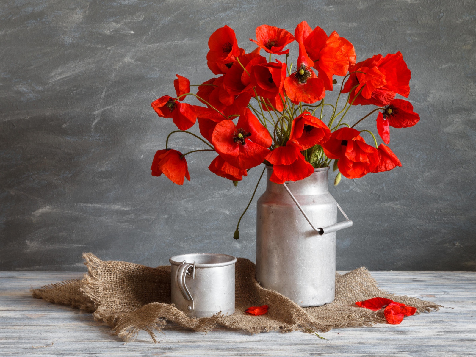 Букет красных маков в железном бидоне на столе с кружкой