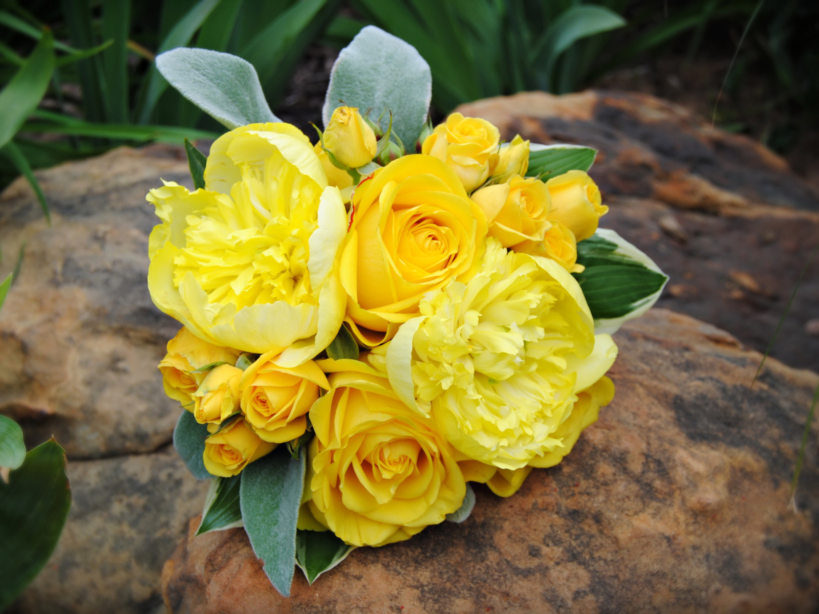 Букет желтых роз с желтыми пионами лежит на камне