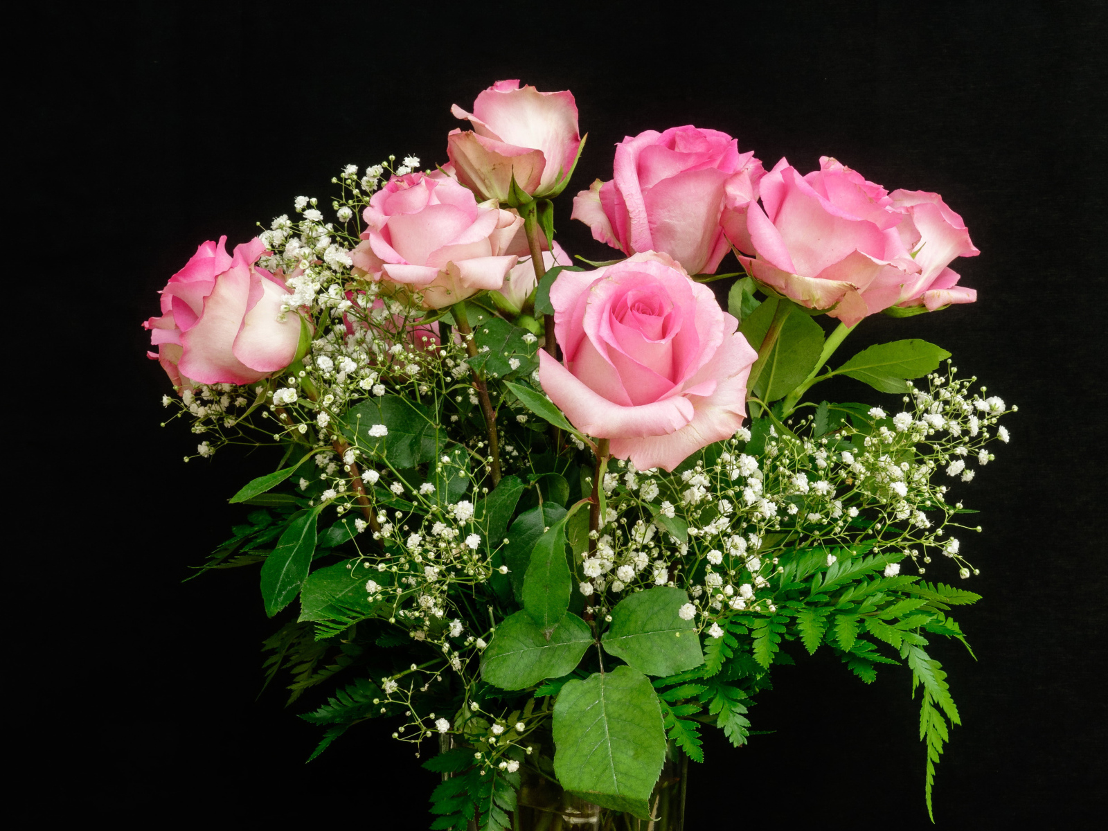 Красивый букет розовых роз с белыми цветами на черном фоне