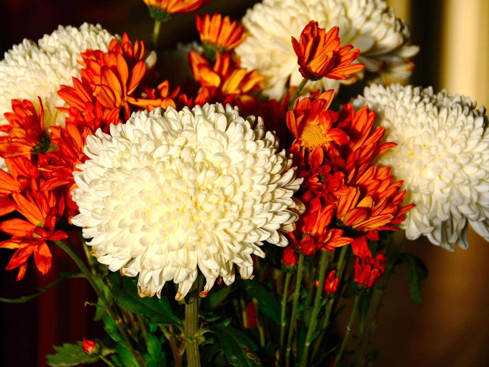 Красивый букет белых и оранжевый хризантем