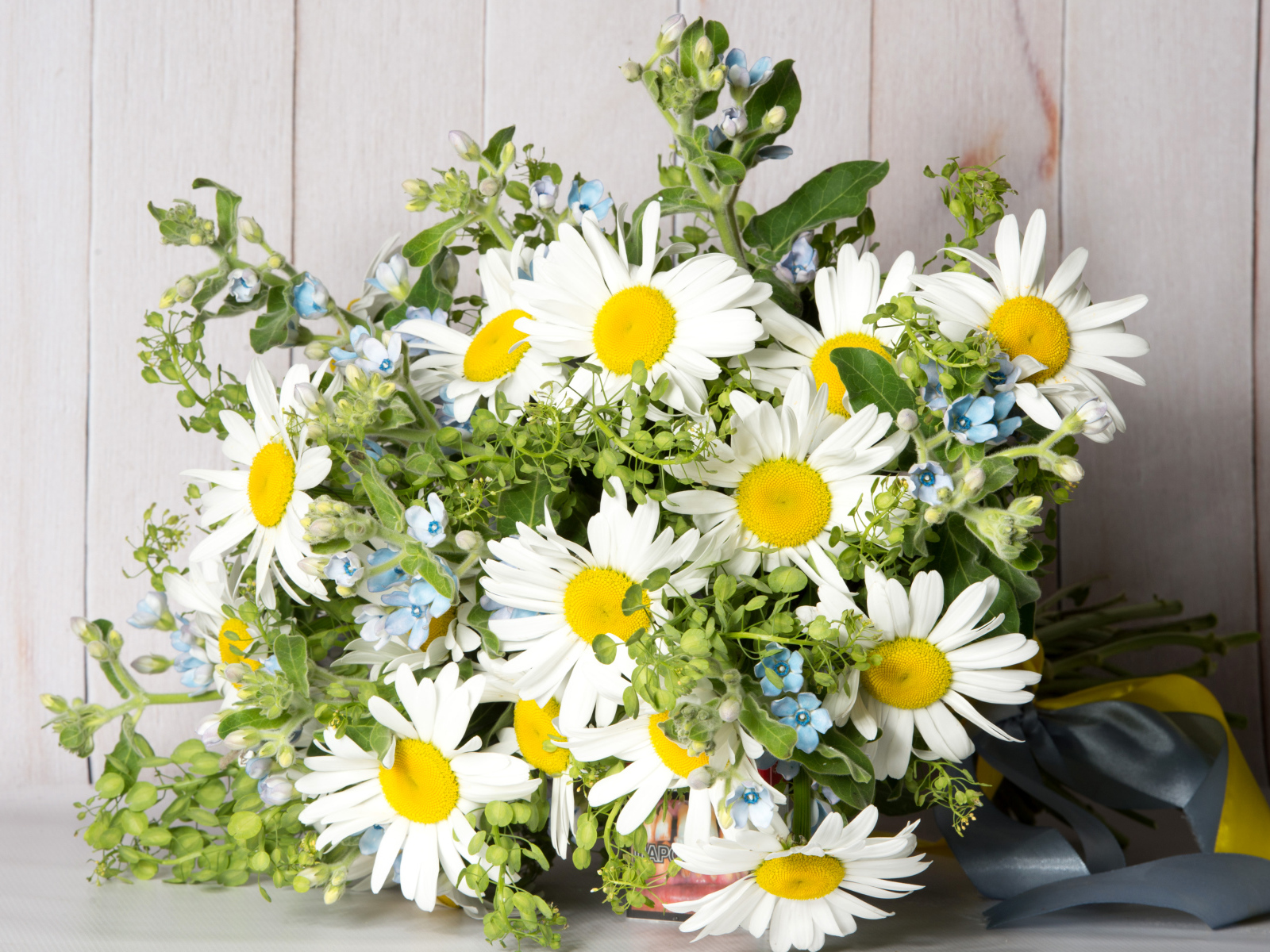 Букет полевых ромашек перевязанный лентой