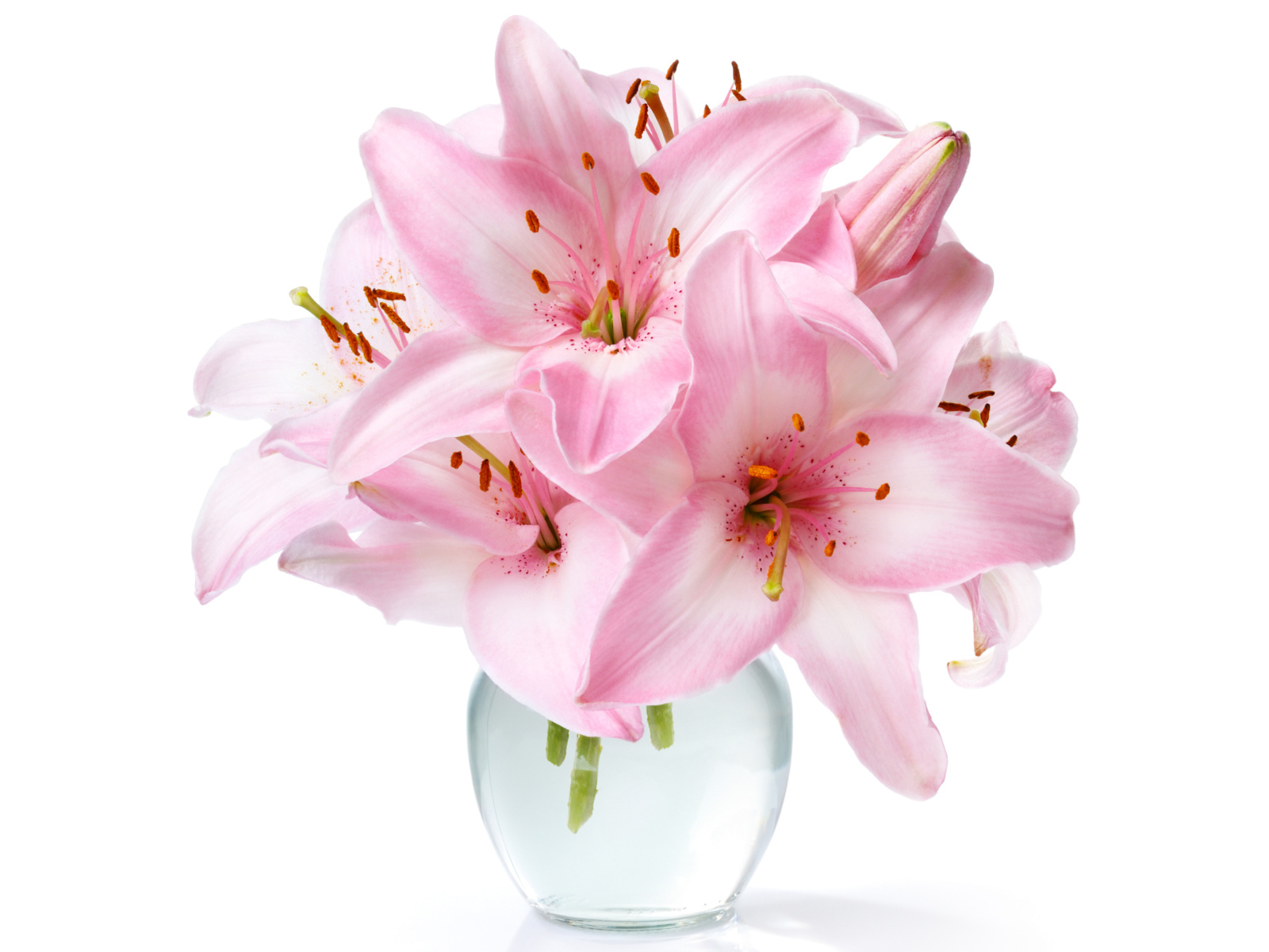 Букет розовых лилий в прозрачной вазе крупным планом