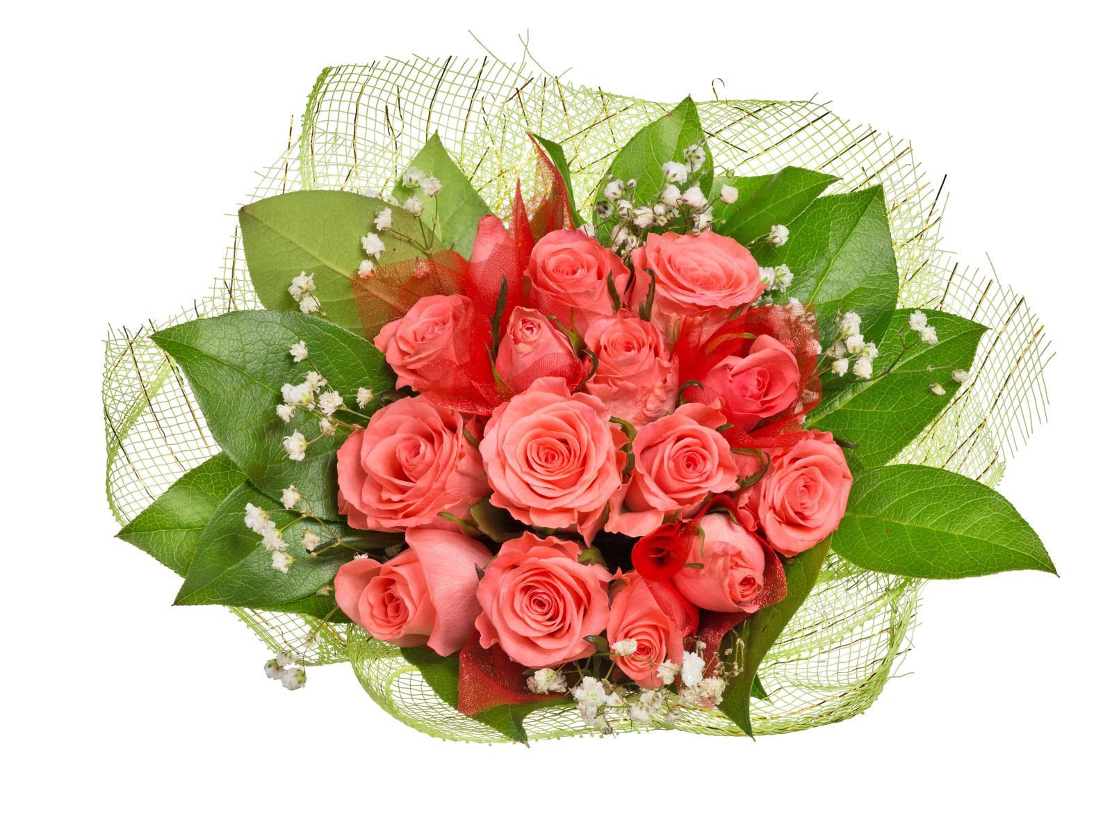 Букет розовых роз с большими зелеными листьями на белом фоне