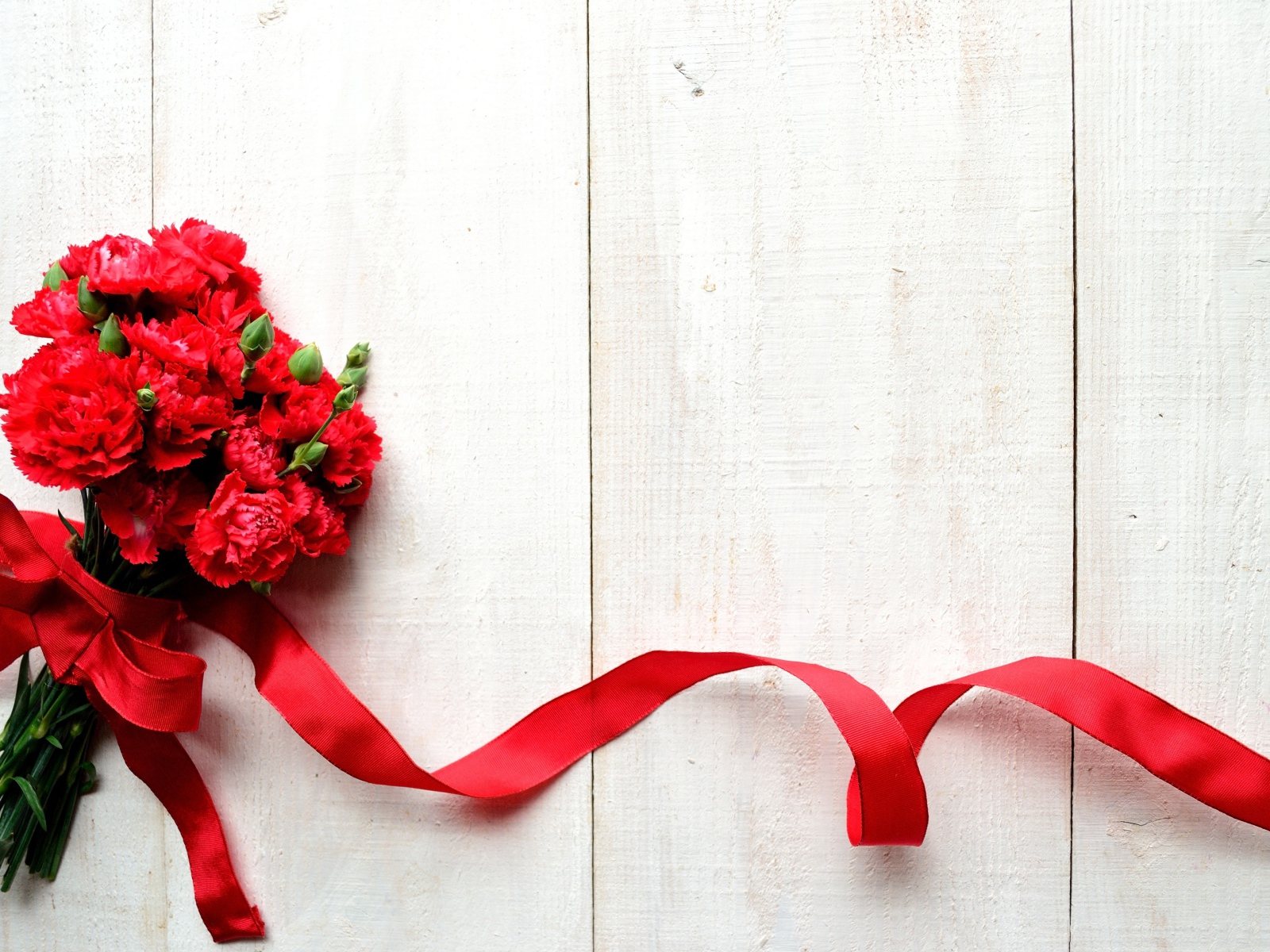 Букет красных гвоздик с красной лентой, фон для открытки