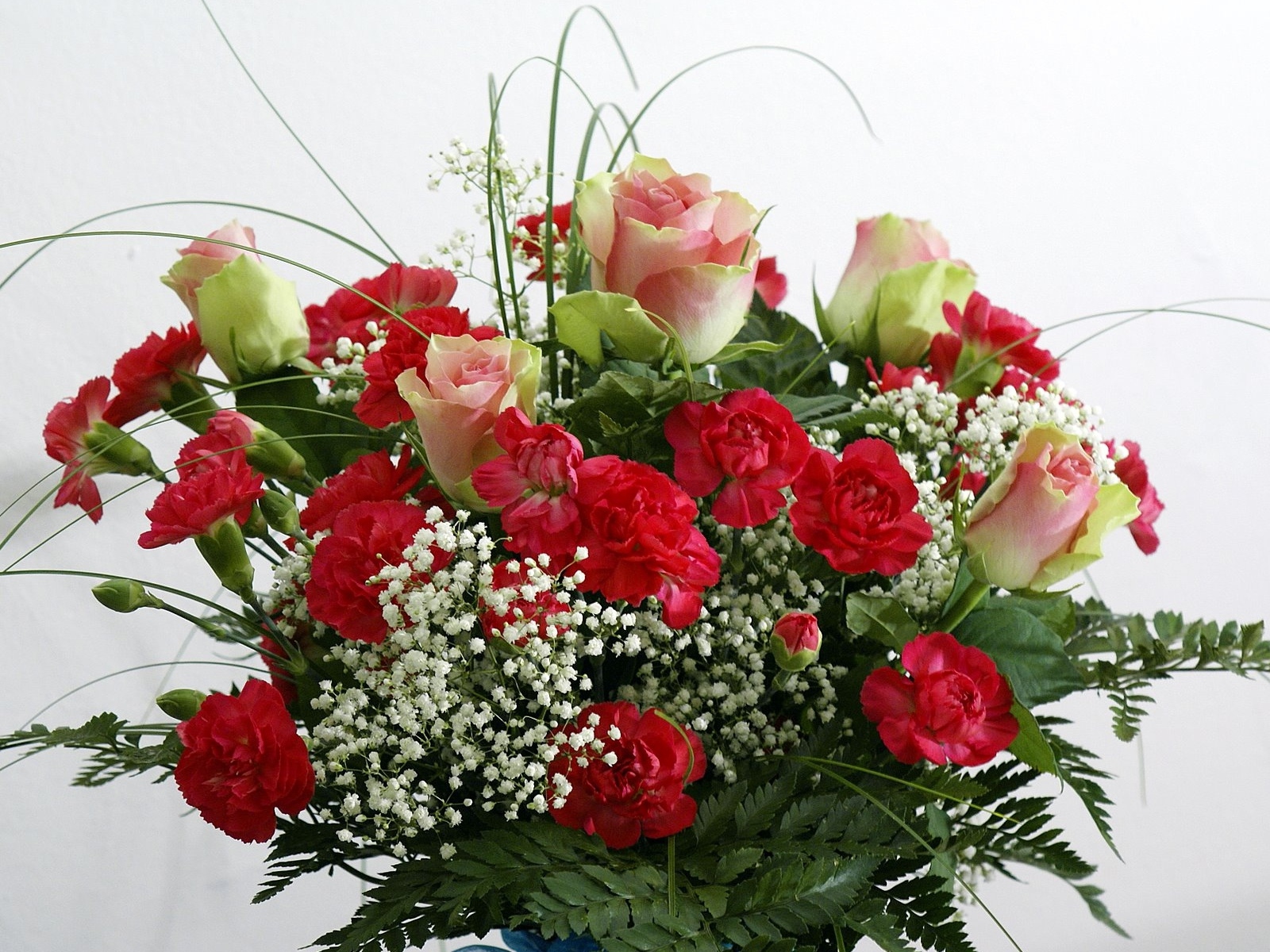 Букет роз с гвоздиками и зеленью на белом фоне