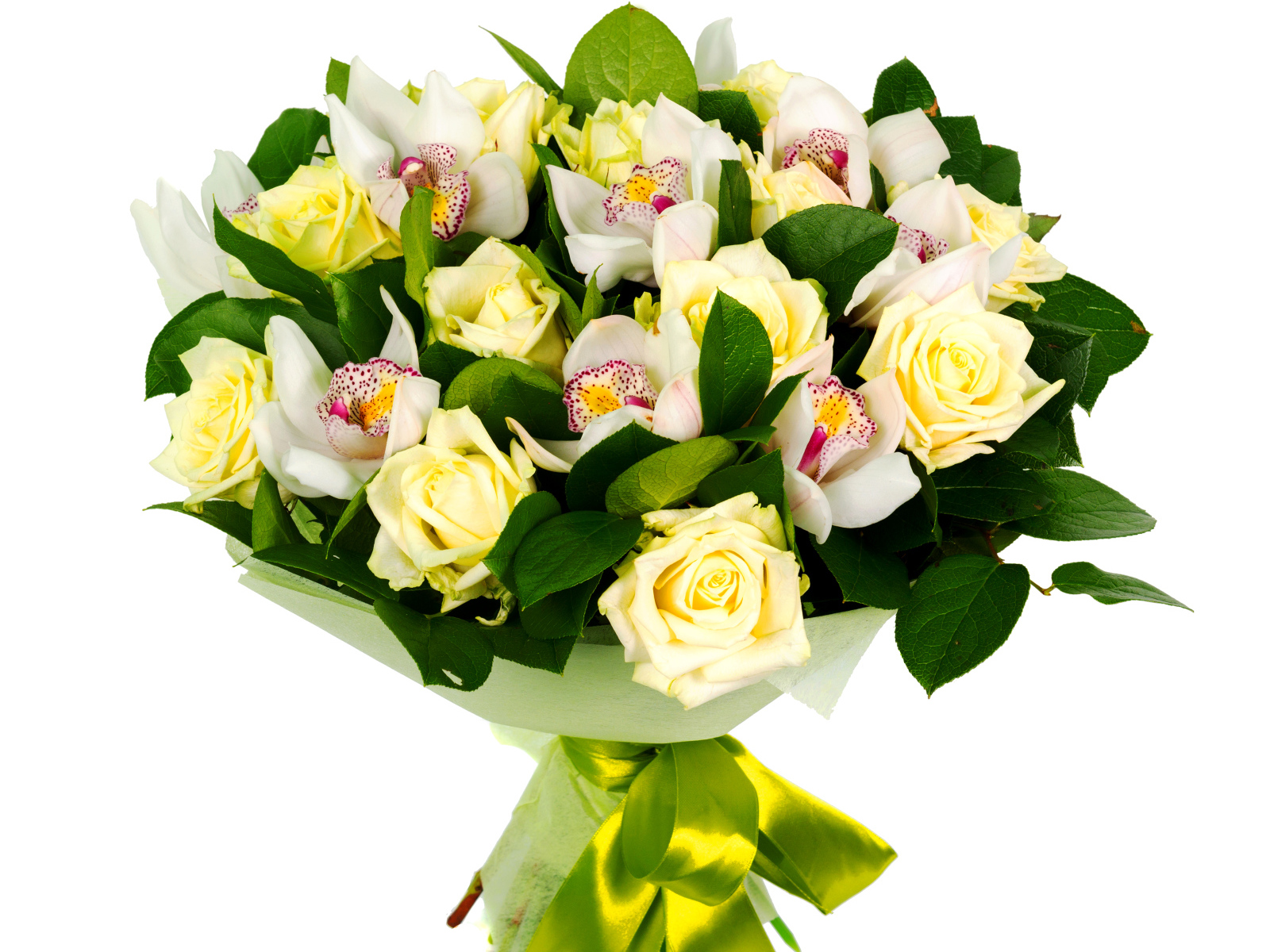 Букет белых роз и белых орхидей на белом фоне