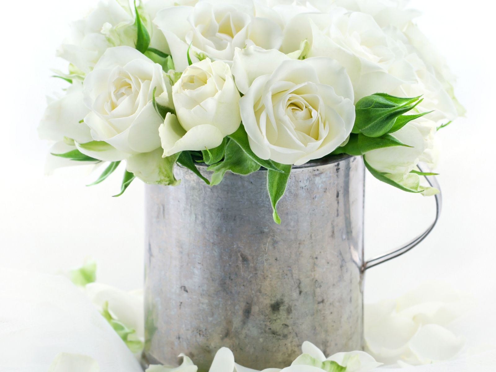 Букет белых роз в железной кружке на белом фоне