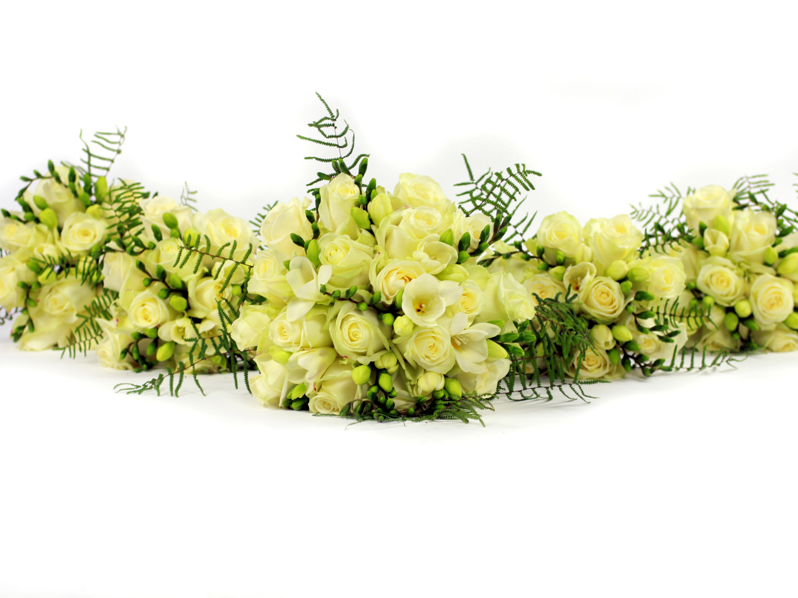 Букеты белых роз и фрезии на белом фоне