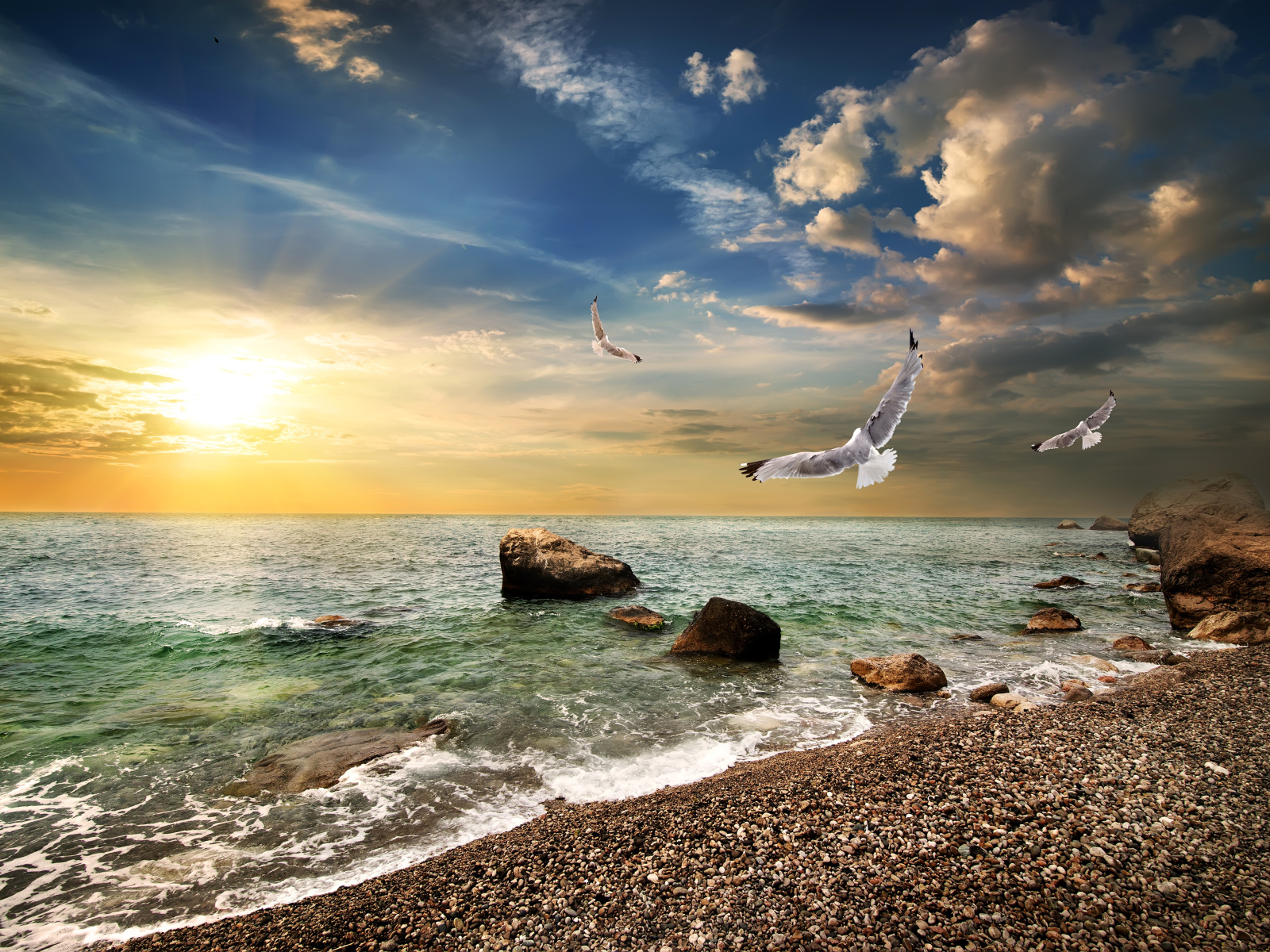 Seagulls fly over the seashore at sunset