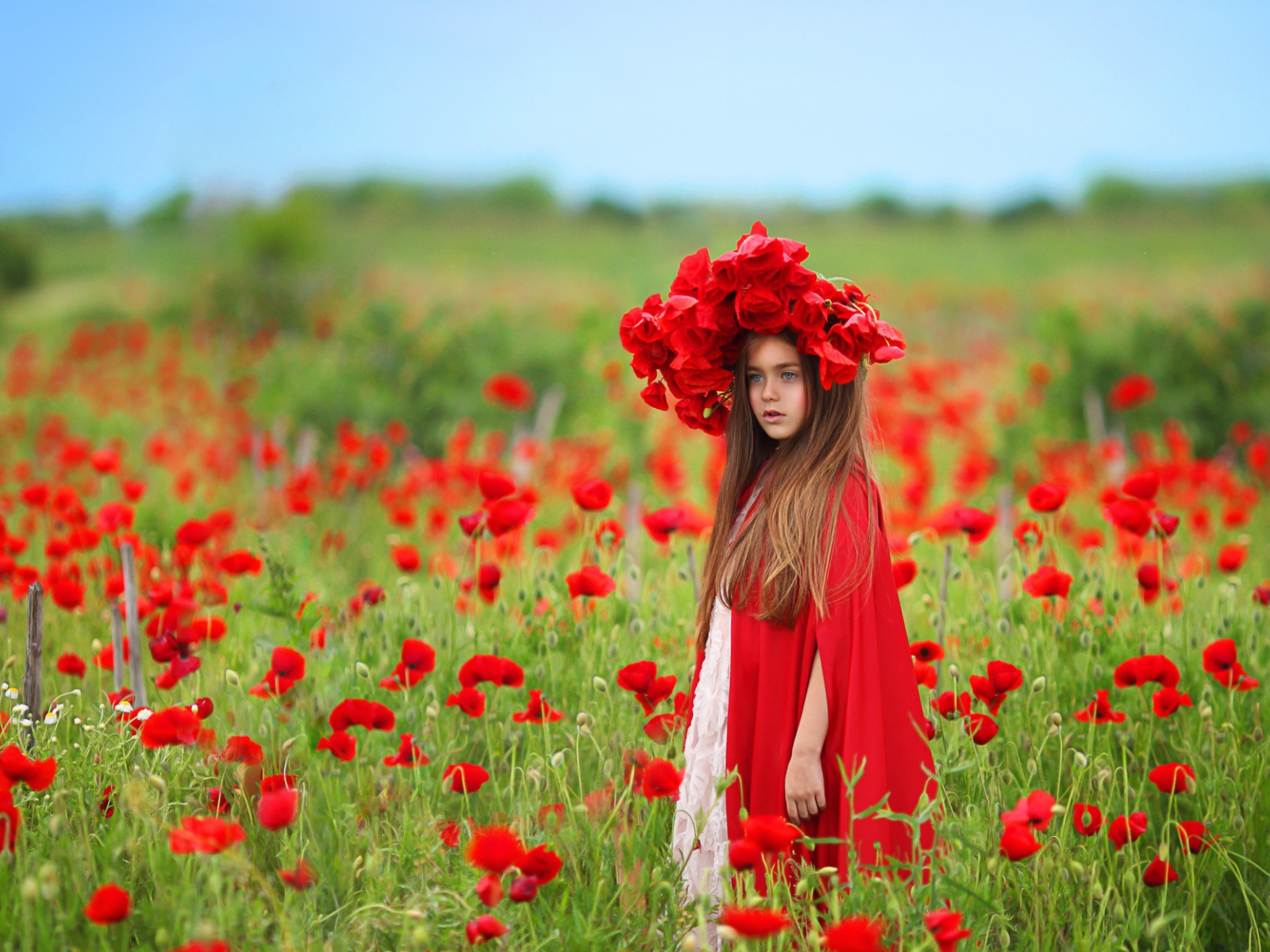 Маленькая девочка с большим красивым венком из красных маков на голове
