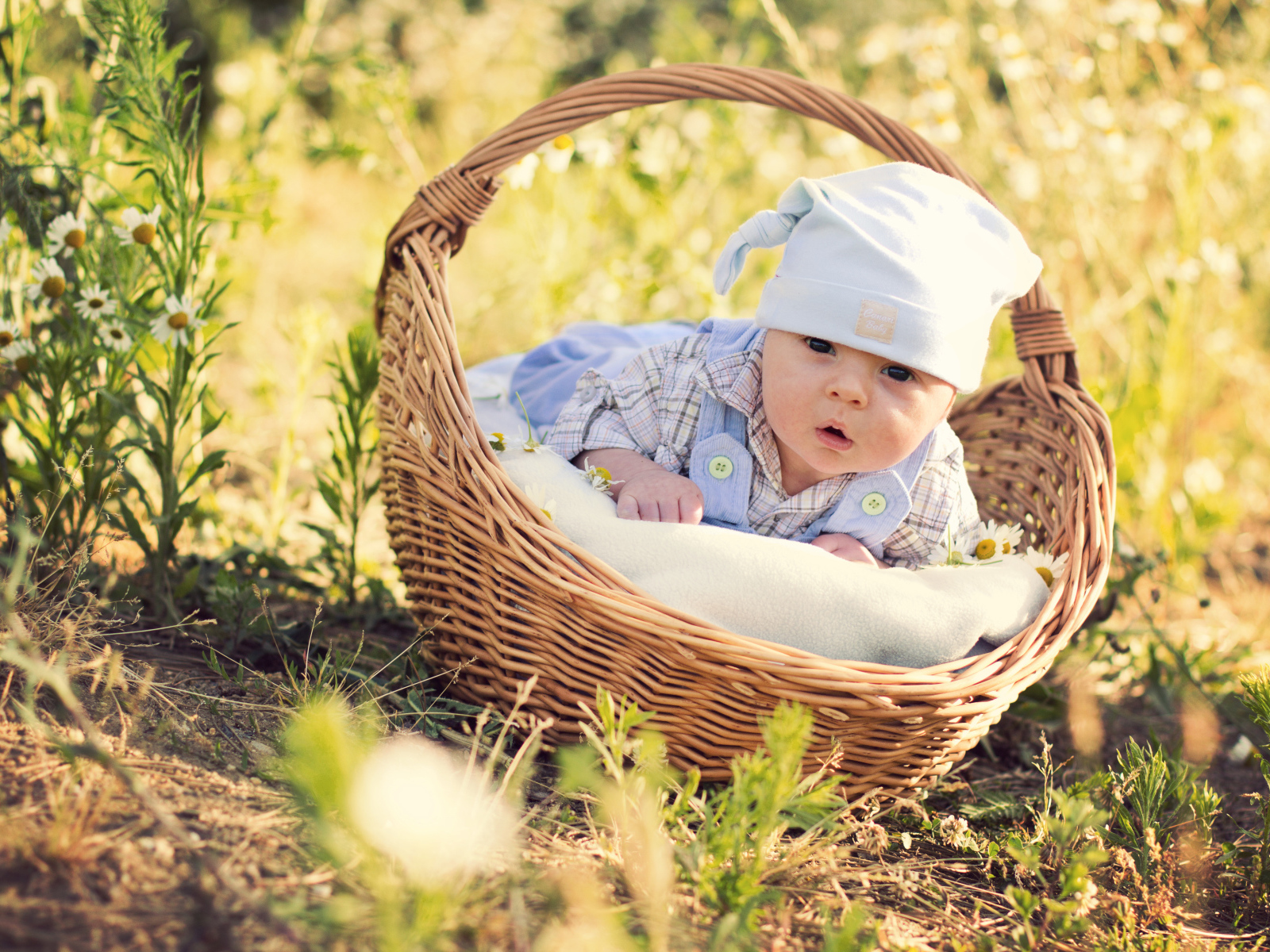 Маленький милый младенец лежит в корзине