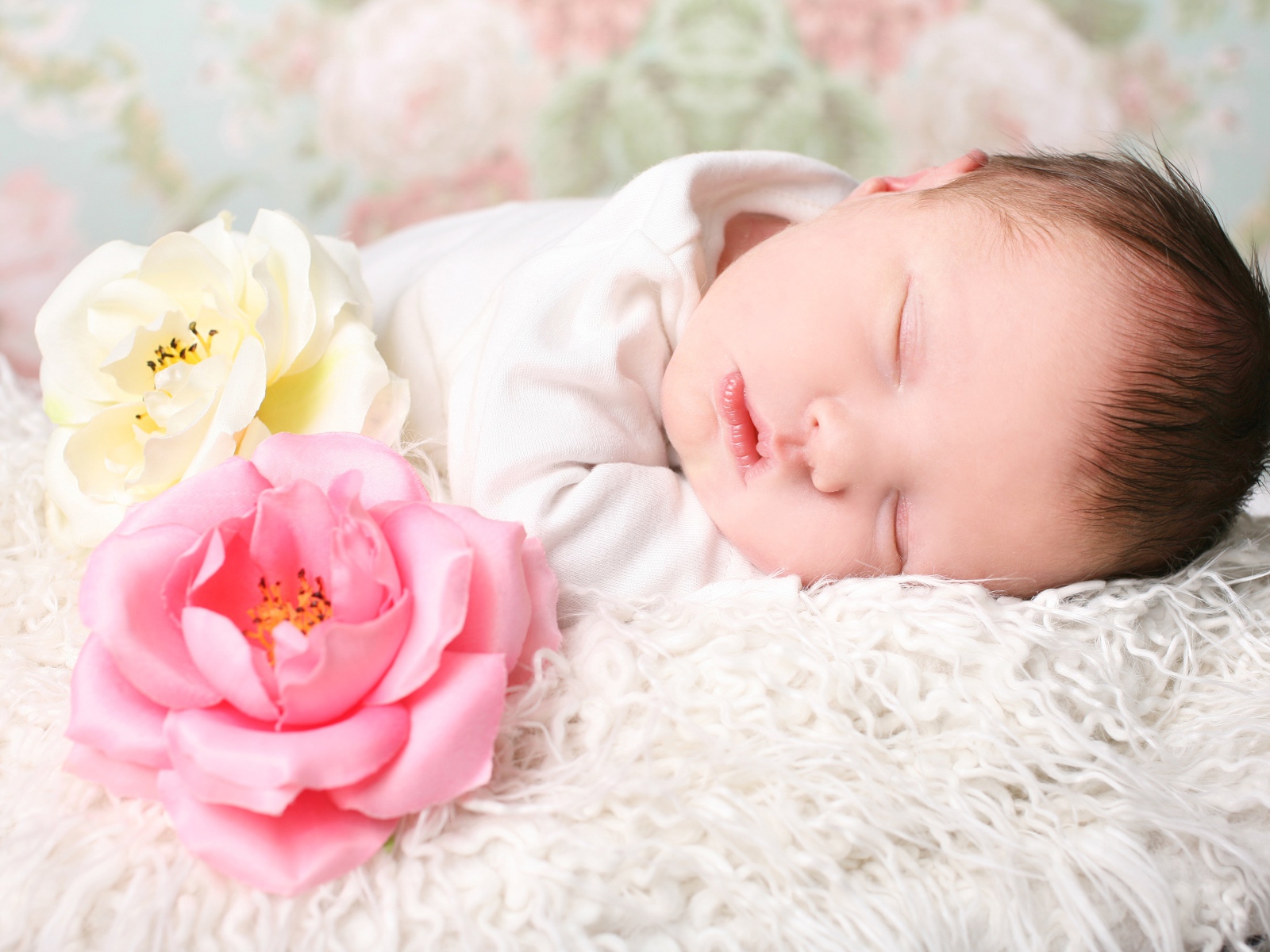 Милая маленькая девочка спит с двумя розами