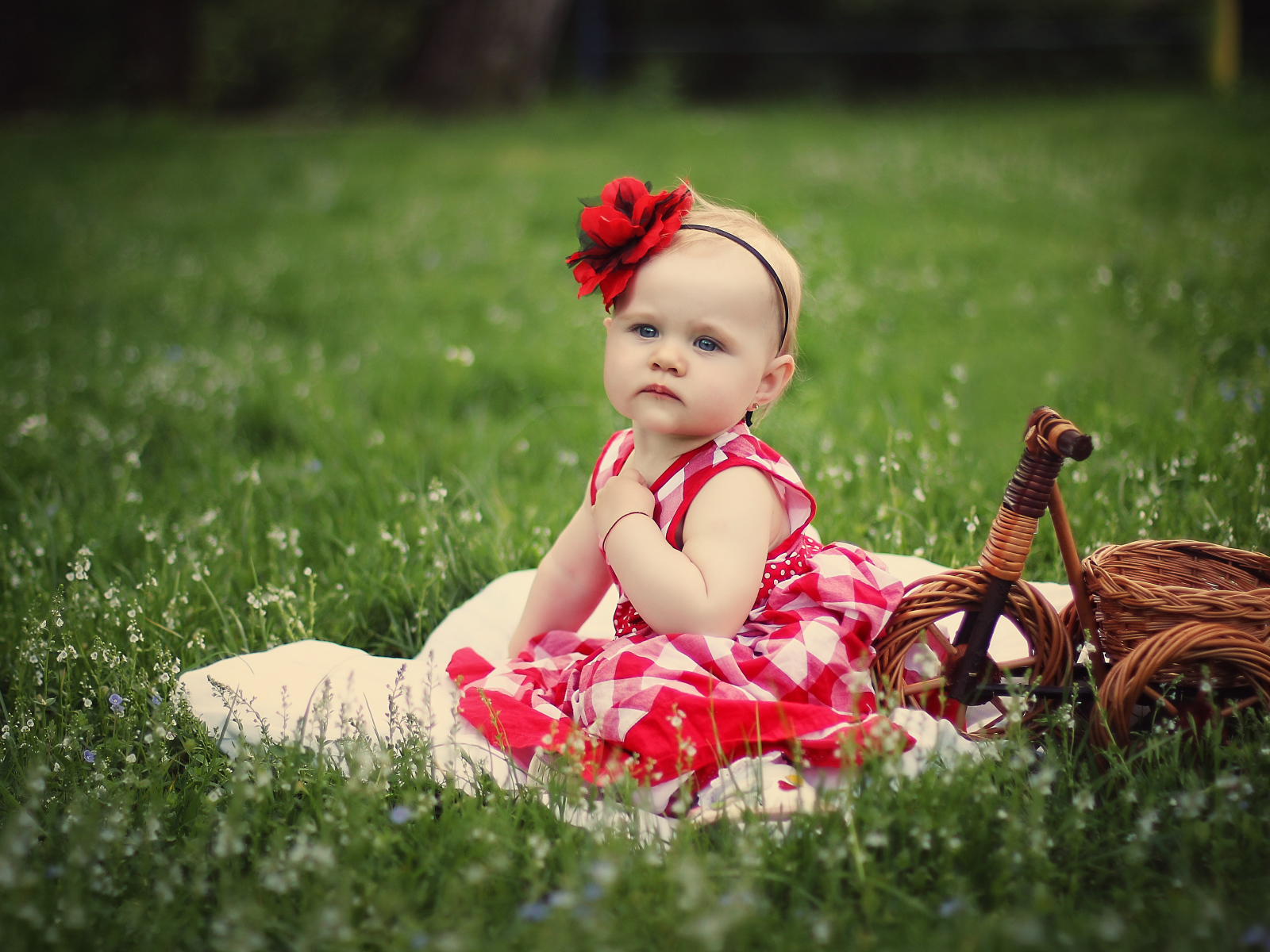 Красивая маленькая девочка с красным цветком на голове сидит на зеленой траве