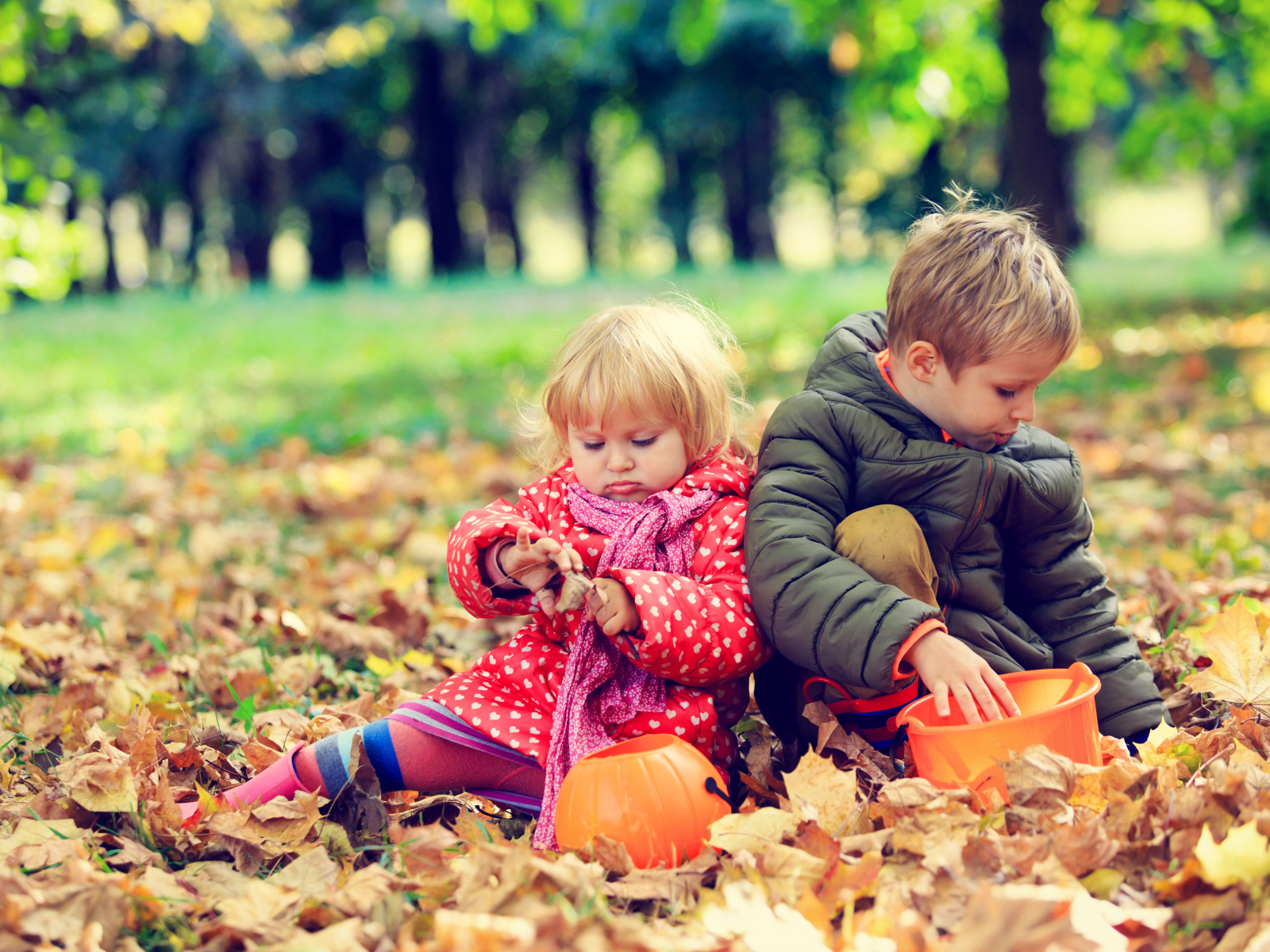 Маленькие мальчик и девочка сидят на желтой листве в парке осенью
