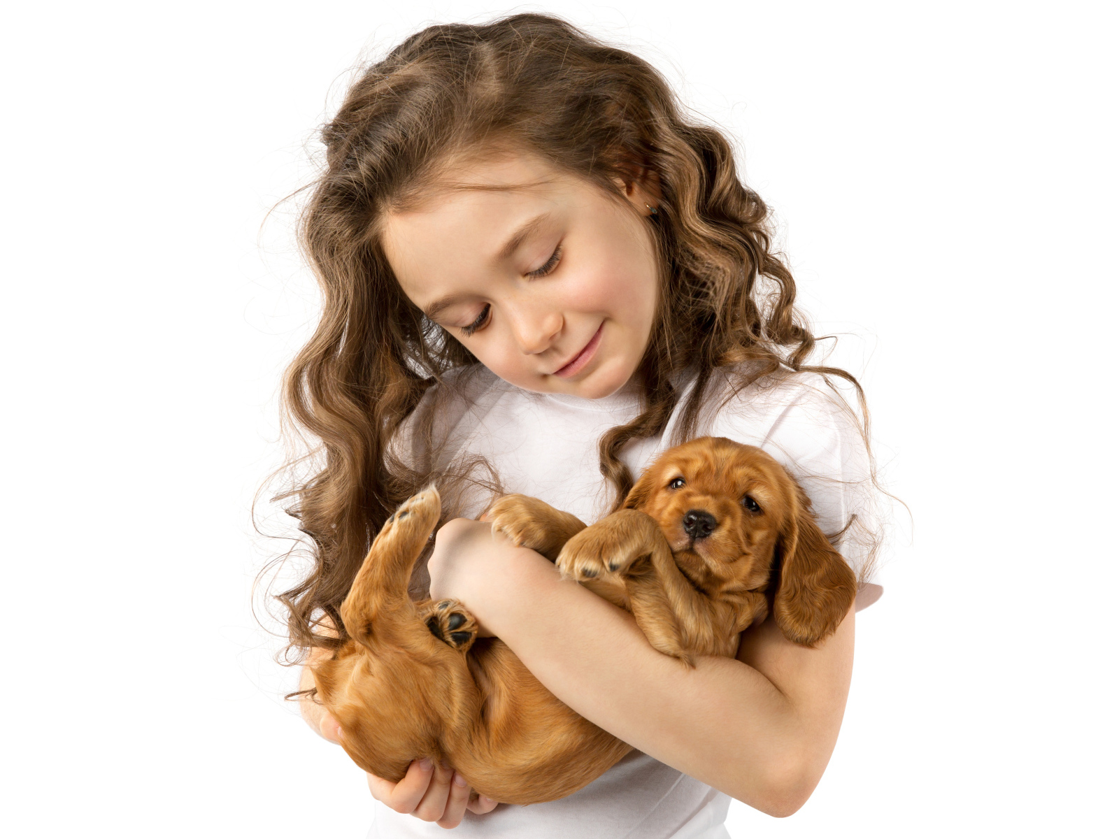 Маленькая девочка шатенка с маленьким щенком в руках на белом фоне