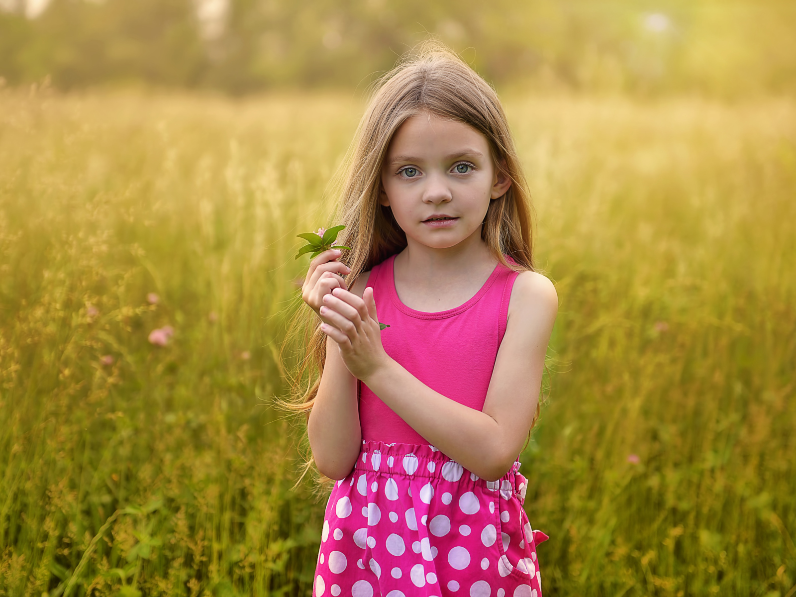 Маленькая длинноволосая девочка в розовом сарафане на поле