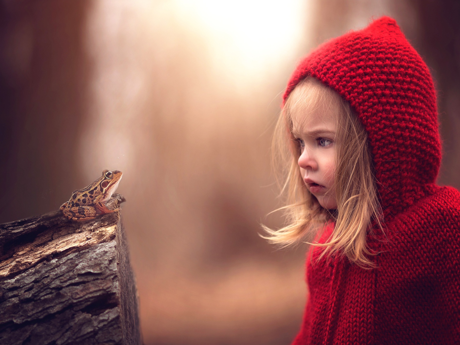 Удивленная девочка в красном капюшоне смотрит на лягушку