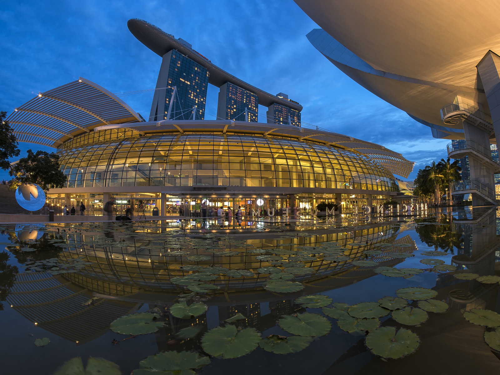 Пруд у Музея Искусства и Науки, Сингапур. Азия