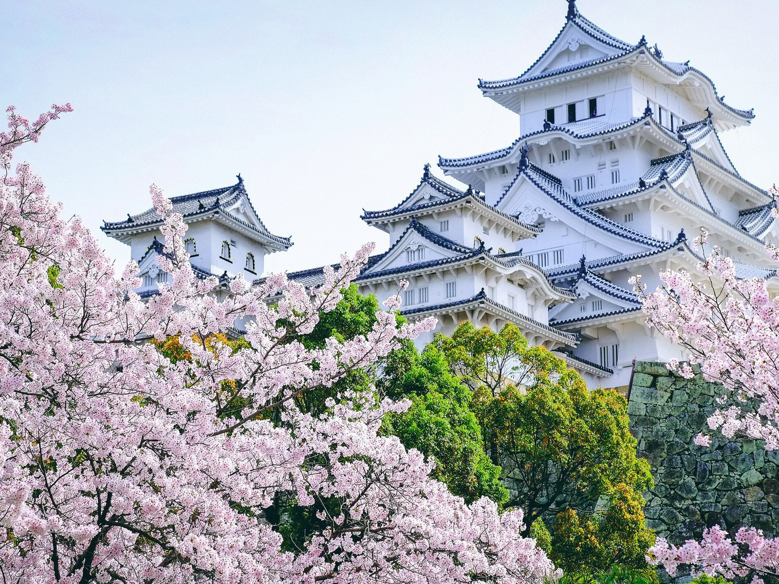 Древнейший замок Химэдзи в садах цветущей сакуры, Япония 
