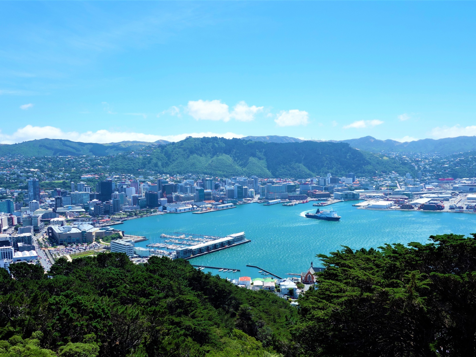 Панорама города Веллингтон, Новая Зеландия 