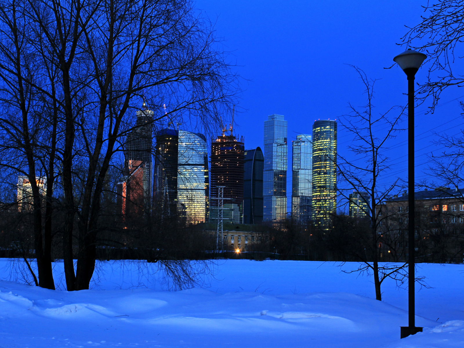 Вид на московские небоскребы из зимнего парка, Россия