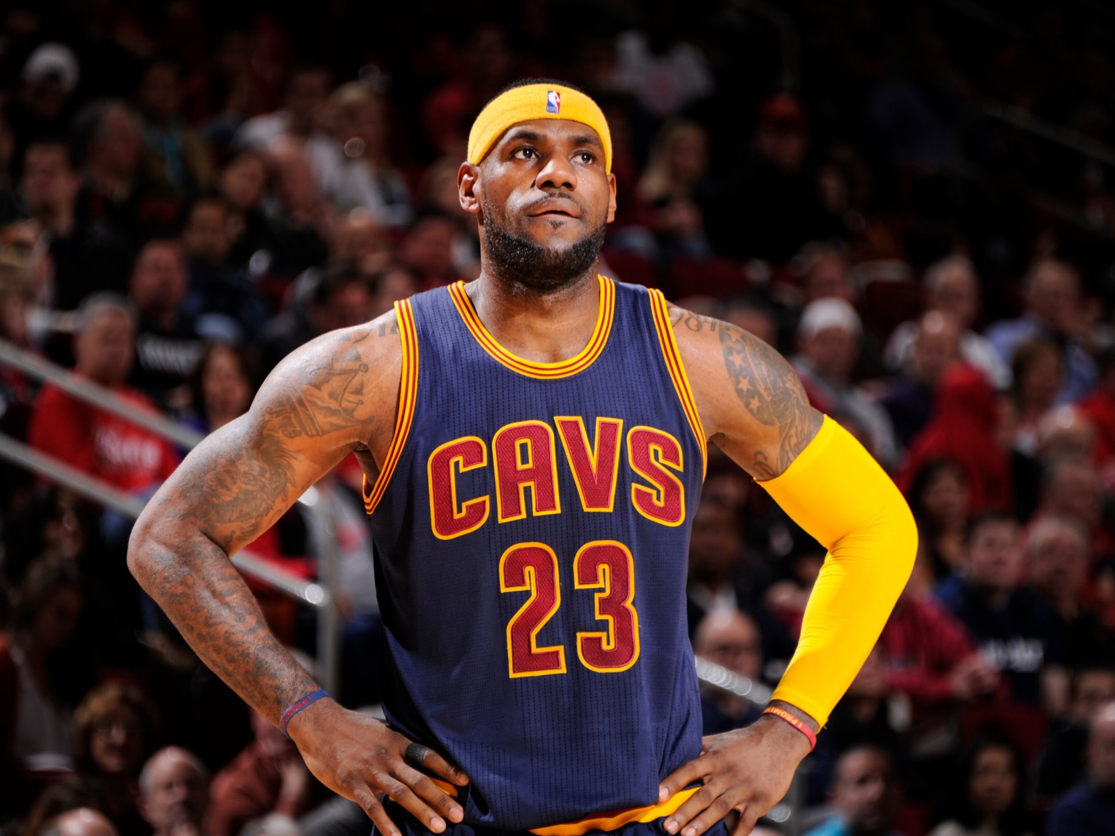 Баскетболист Леброн джеймс на поле 