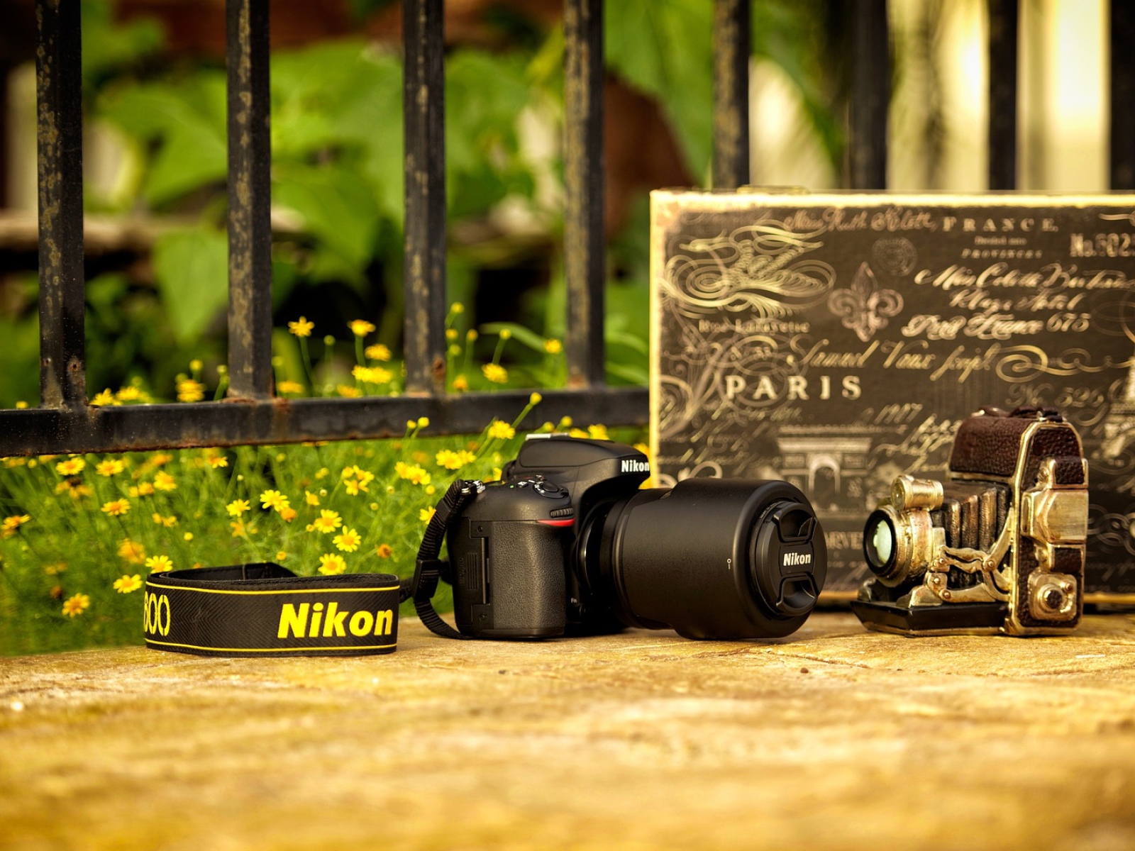 Фотоаппарат Nikon и винтажная камера 