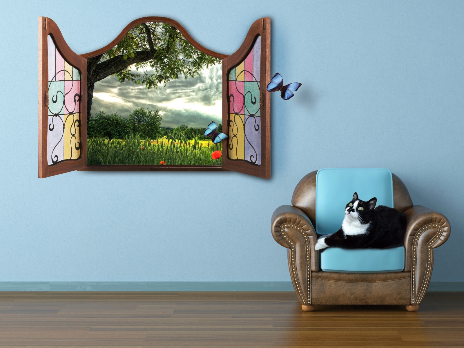 Черно белый кот лежит на кресле у окна