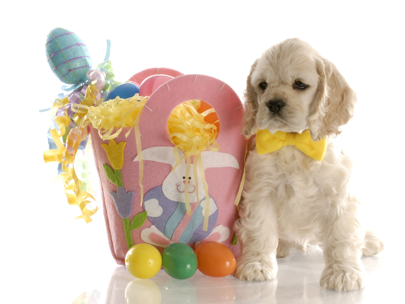 Белый щенок спаниеля с корзиной яиц на Пасху