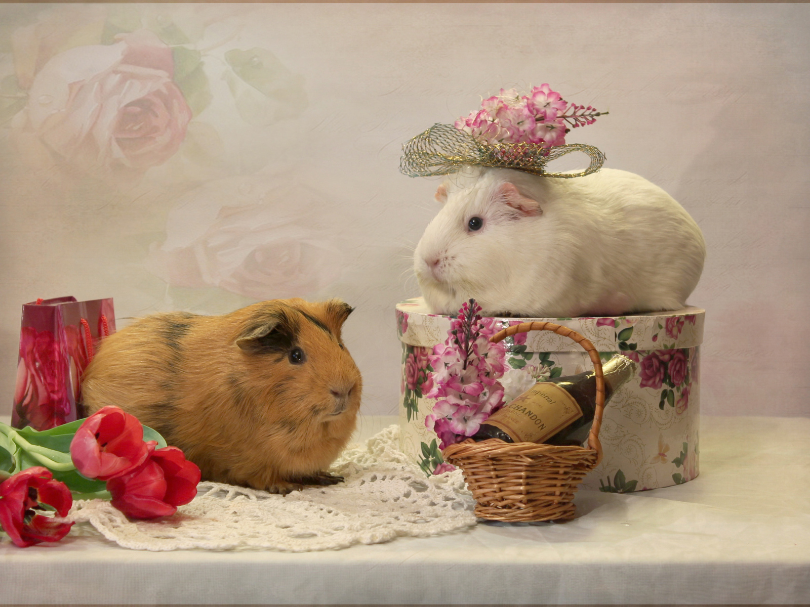 Две морские свинки с цветами