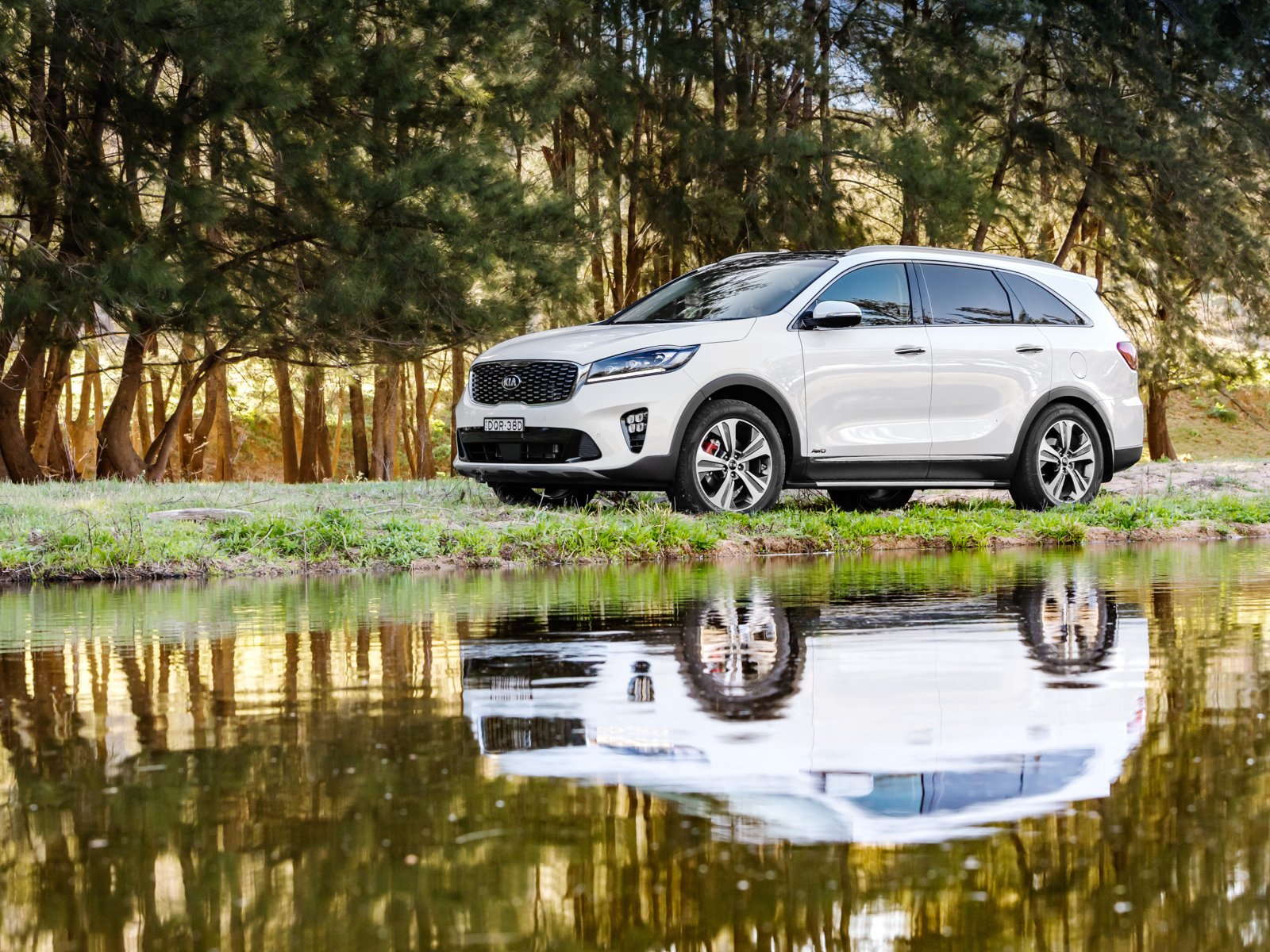 Белый внедорожник Kia Sorento у воды