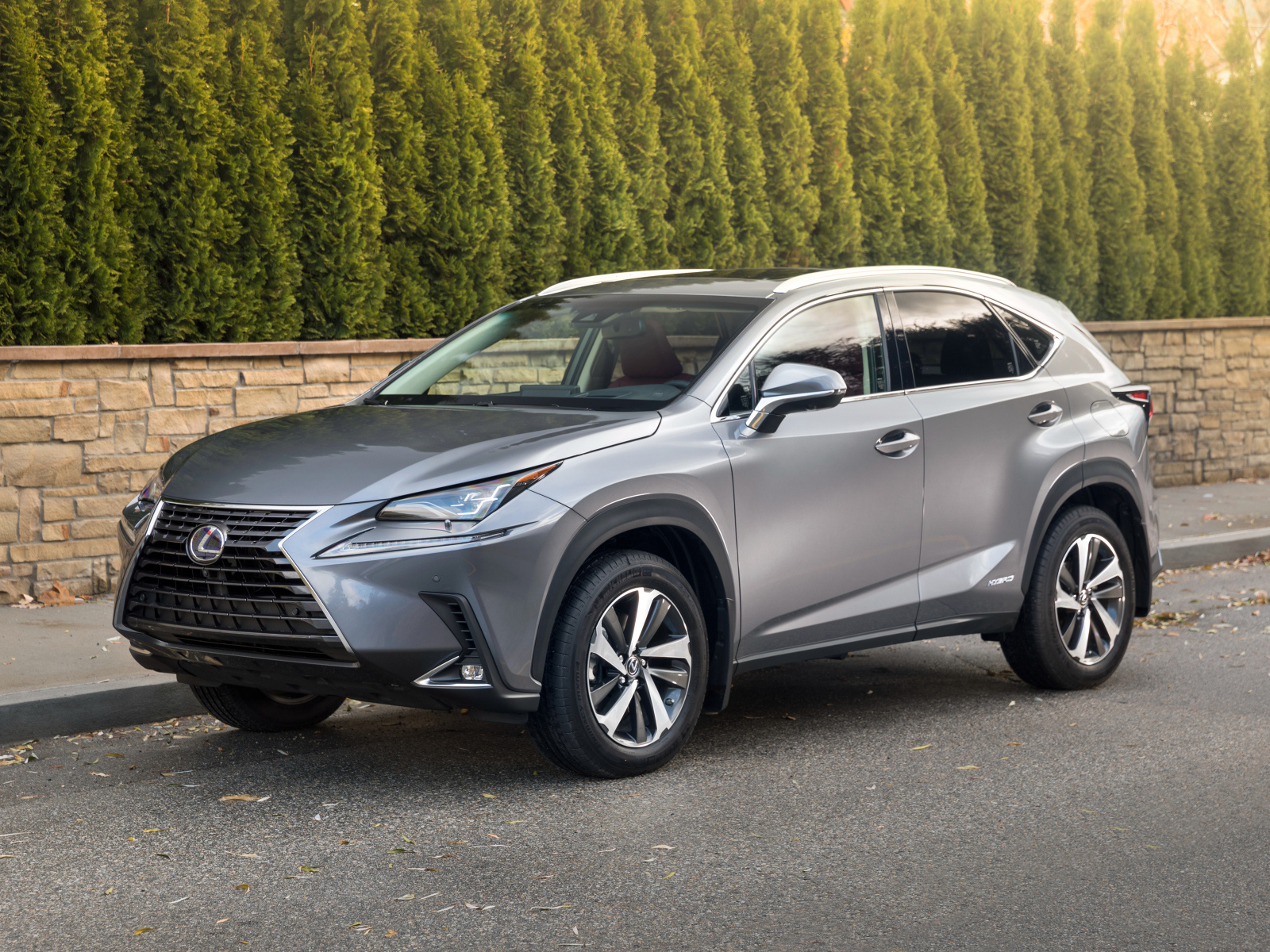 Японский серебристый внедорожник Lexus NX 300h, 2018 года