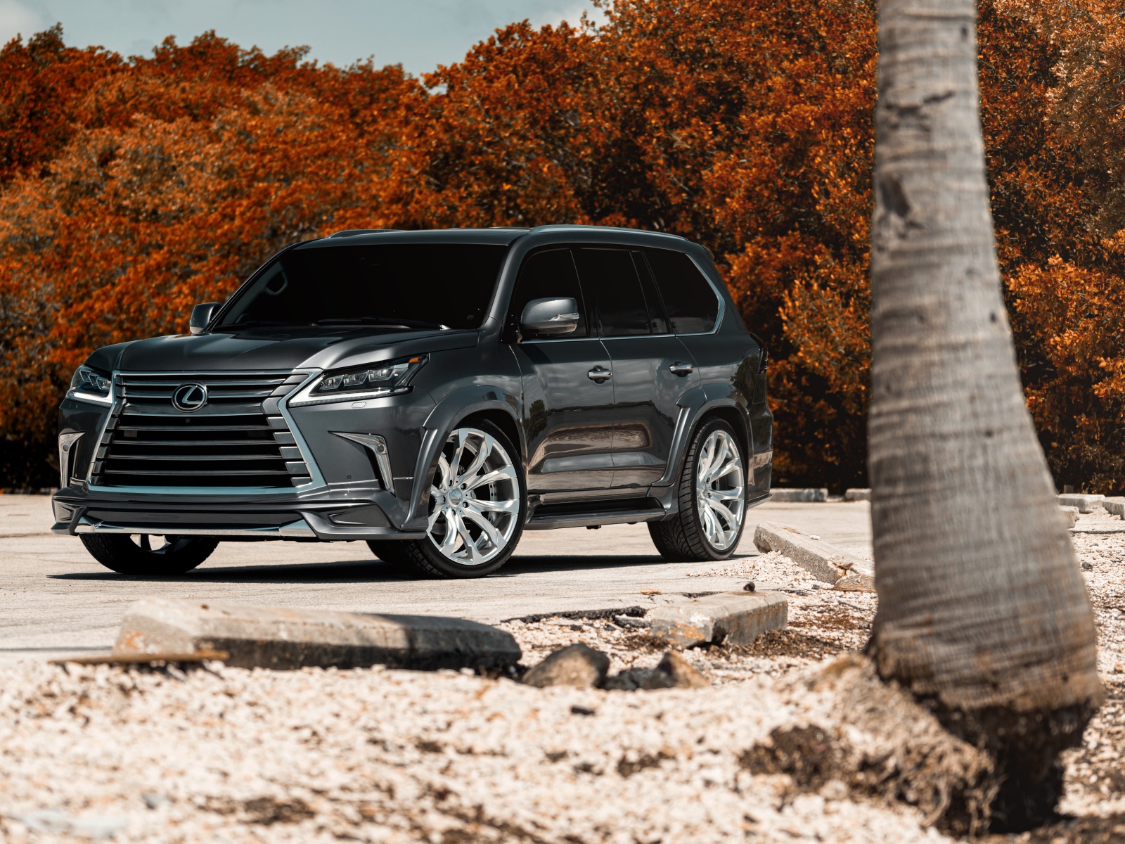 Стильный внедорожник Lexus Lx  2018