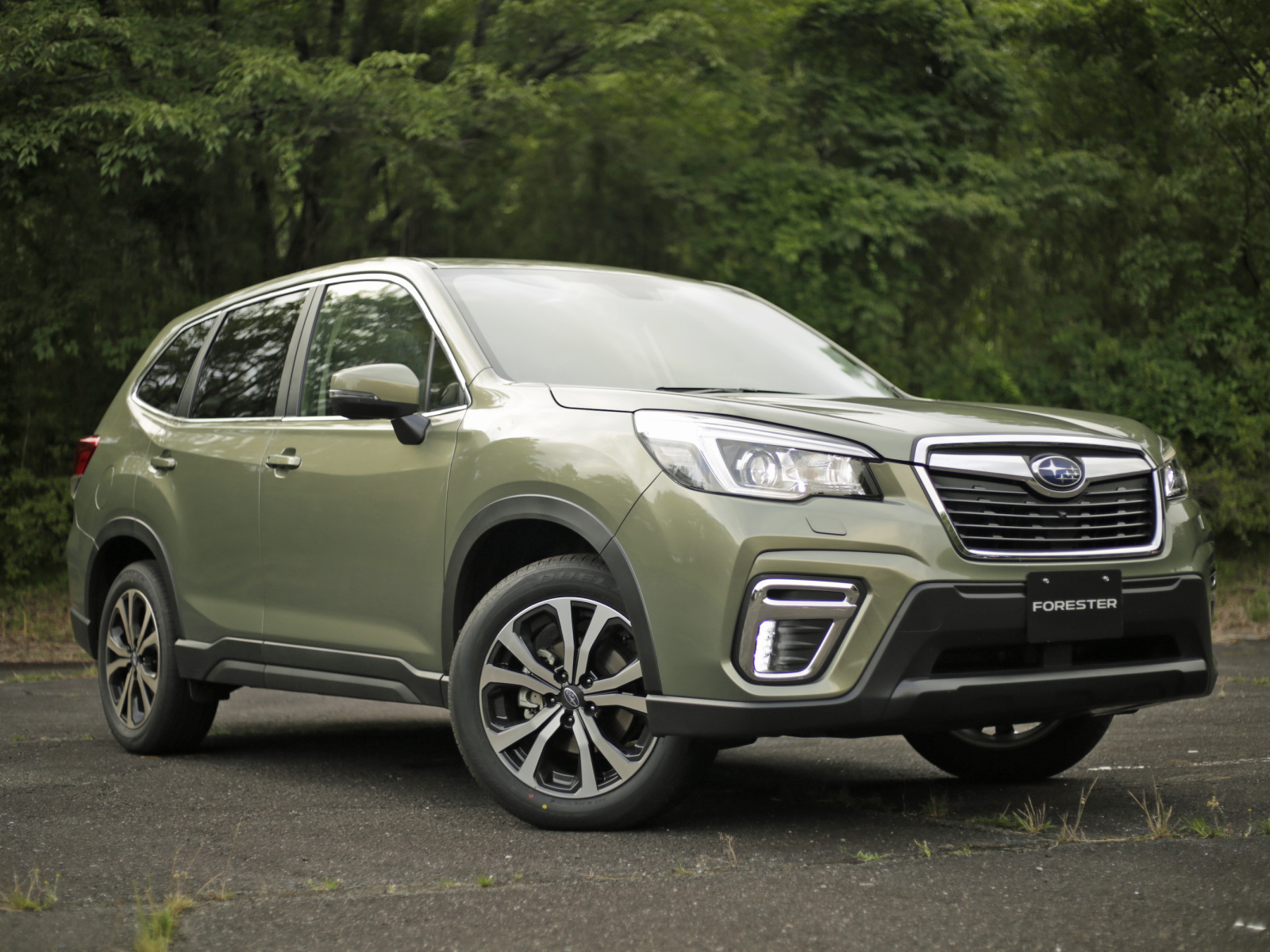 Внедорожник Subaru Forester, 2019 года в лесу